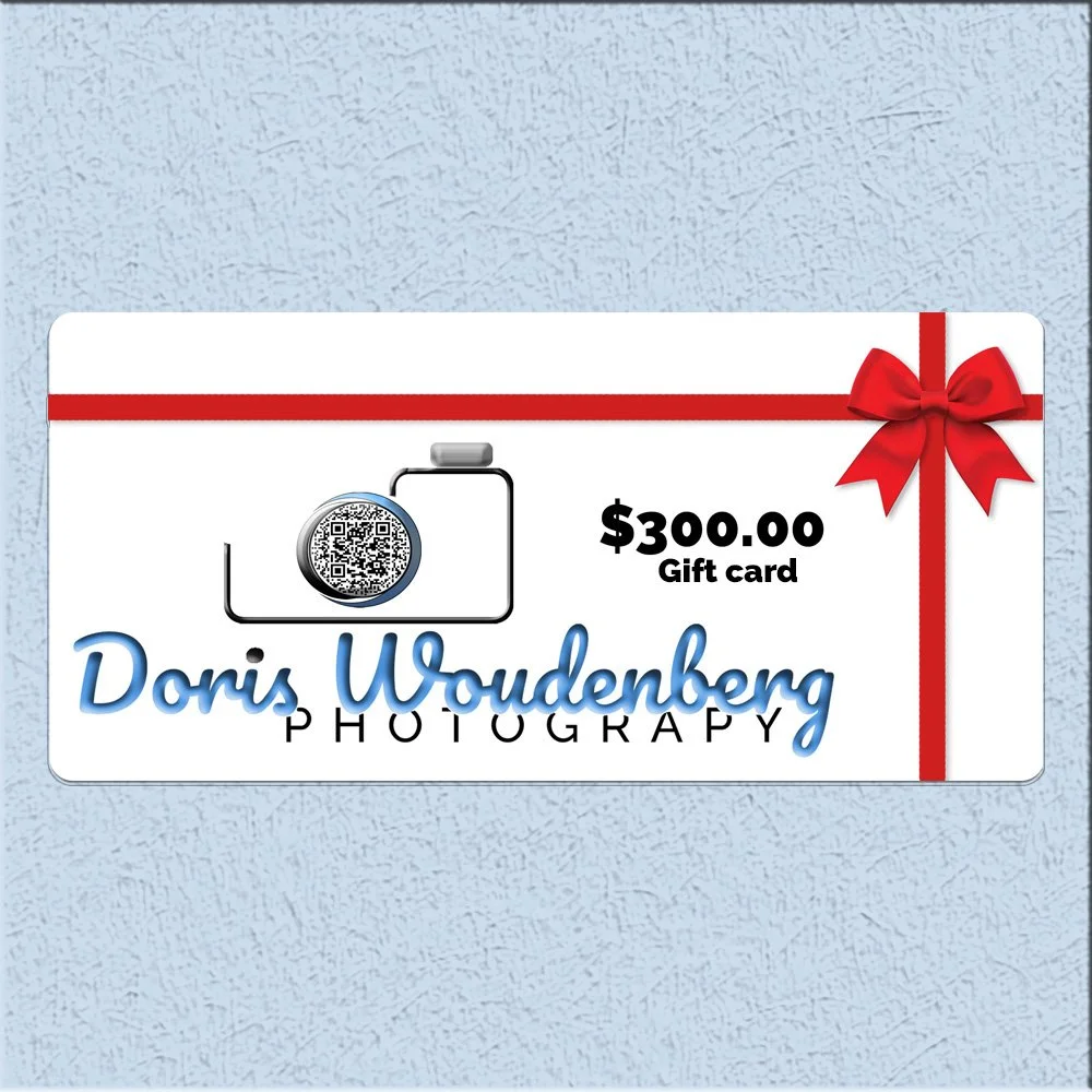 $300.00 gift card.jpg
