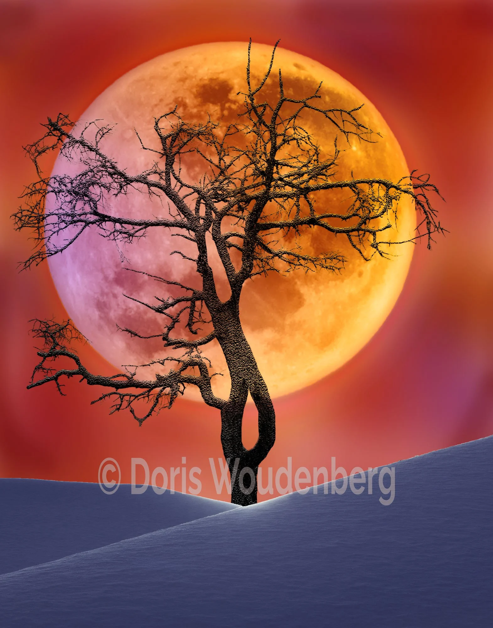 Super Super Moon
