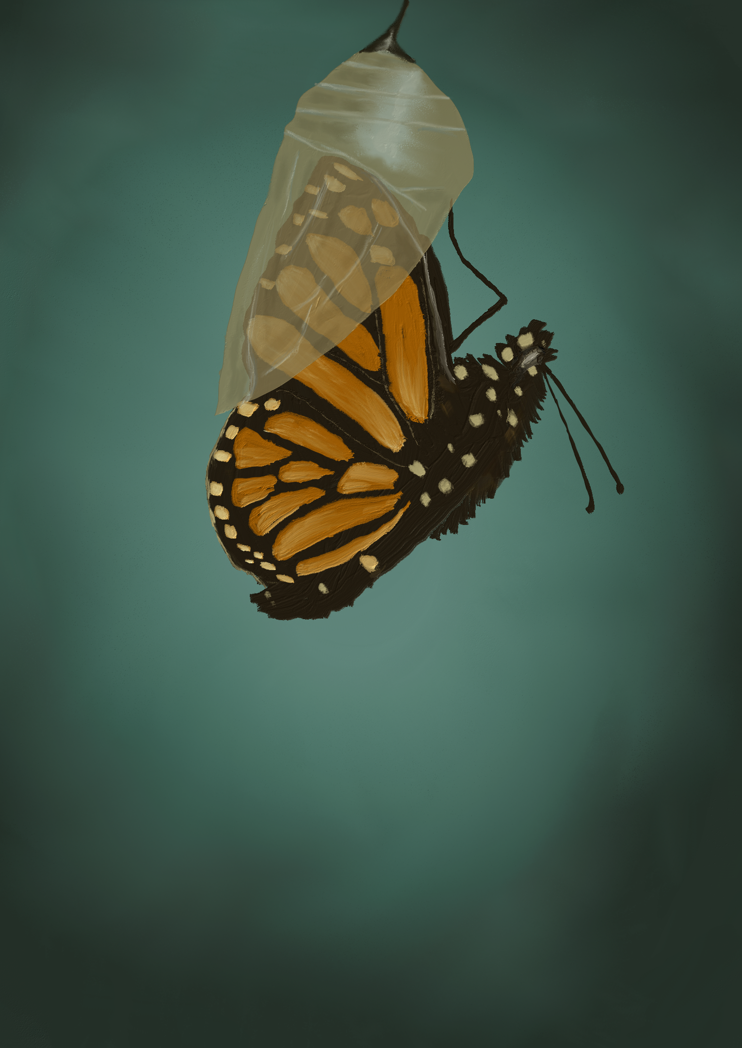 Super Brain - Butterfly.png