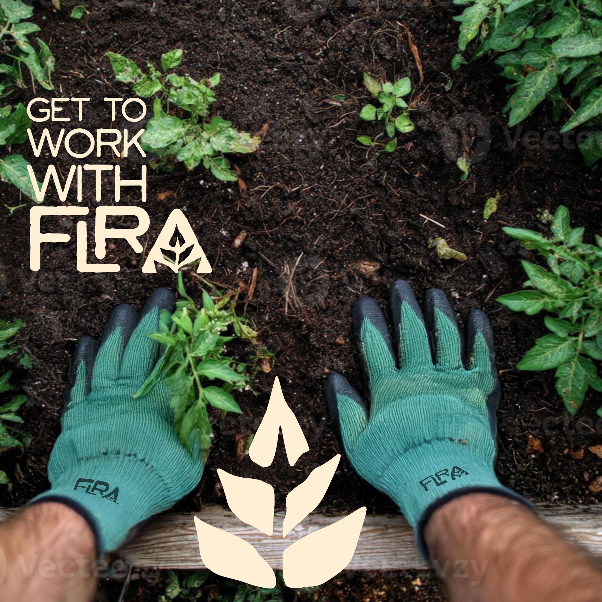 Person wearing blue work gloves planting or gardening in soil surrounded by green plants. Text overlay says 'Get to work with FERA' and a stylized plant symbol.