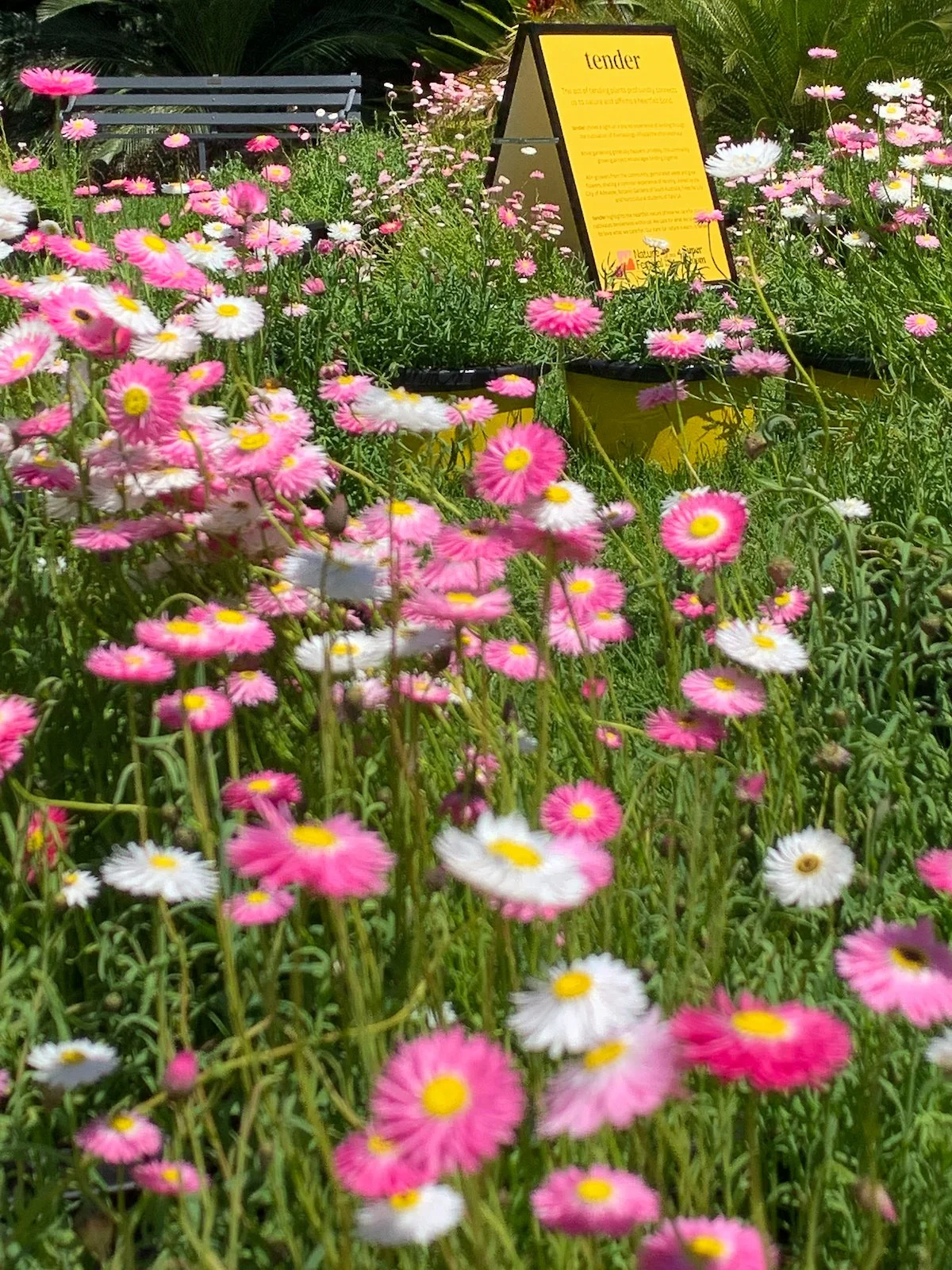 Jac Semmler -721.jpg