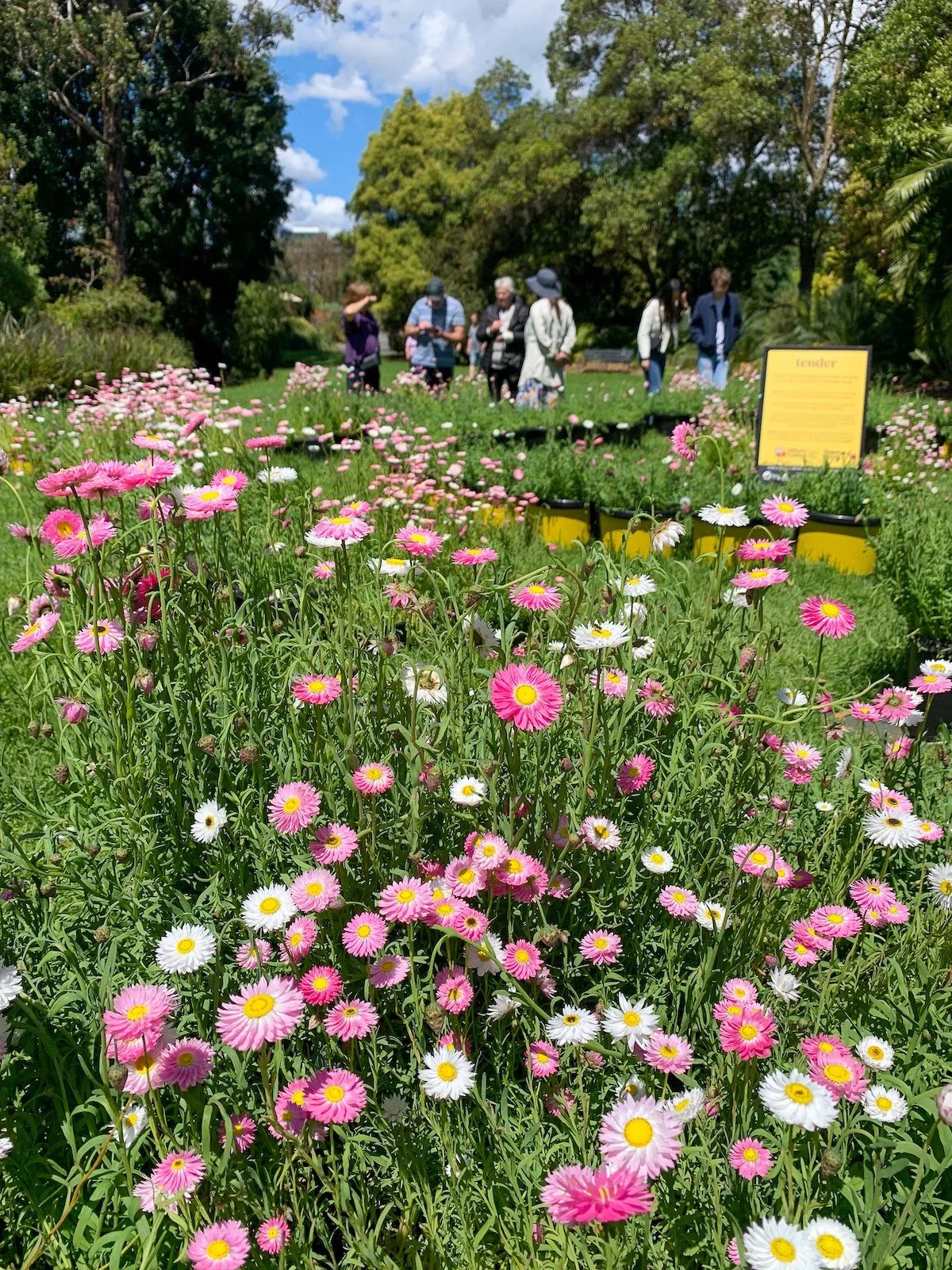 Jac Semmler -747.jpg