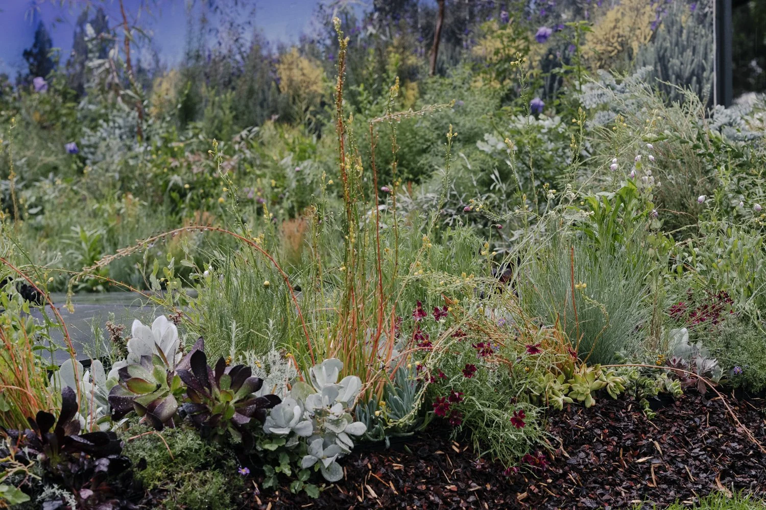 Woody Meadows and Flowery Swards