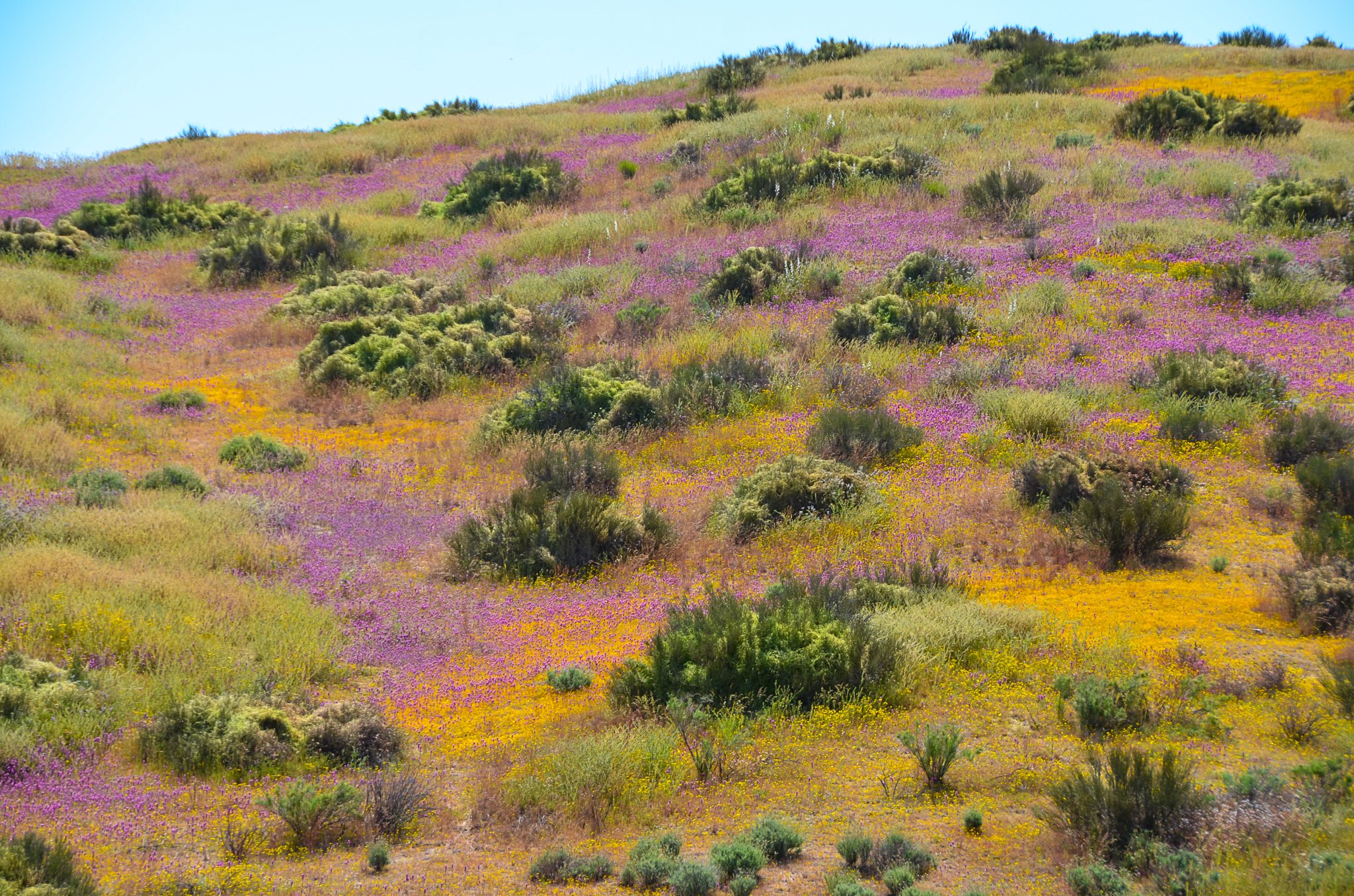 Considering complexity