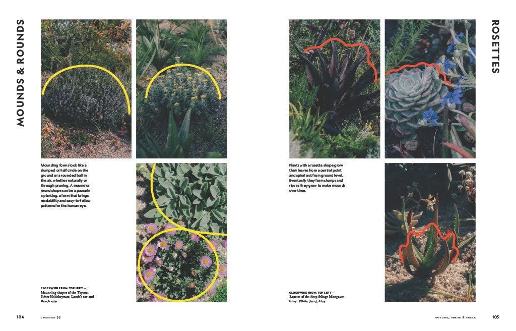 Flower Power by Jac Semmler Shapes LR.jpg