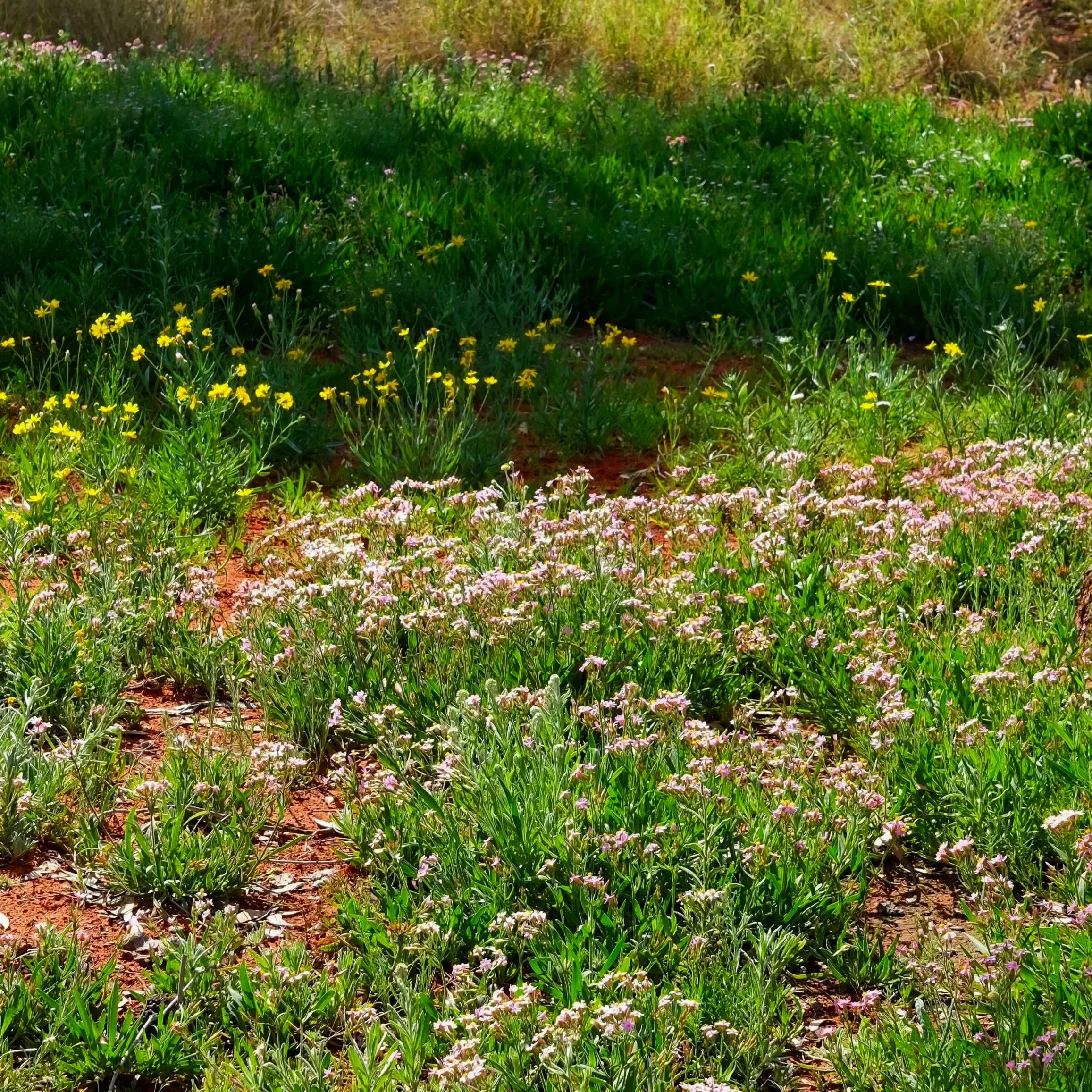 DSCF0624.jpg