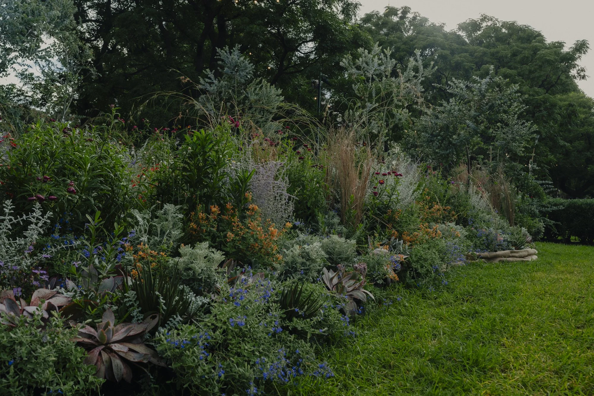 Public revelry: Seeing is believing. the role of demonstration for future planting