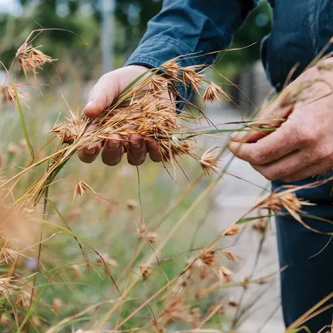 Managament practices 2 