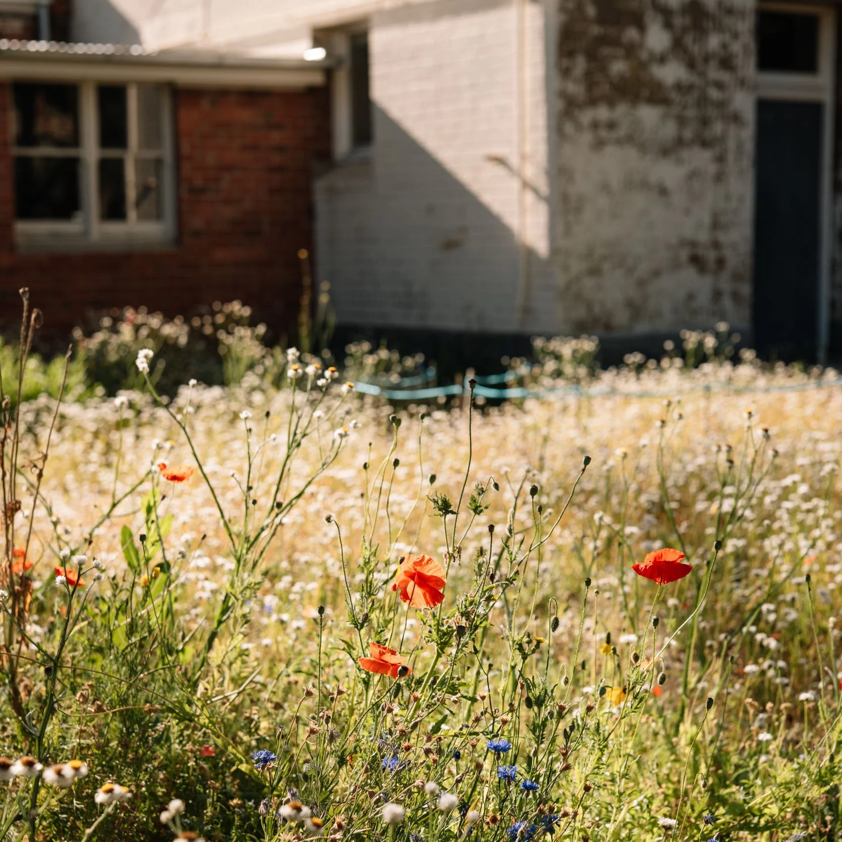Abbotsford Convent 5 
