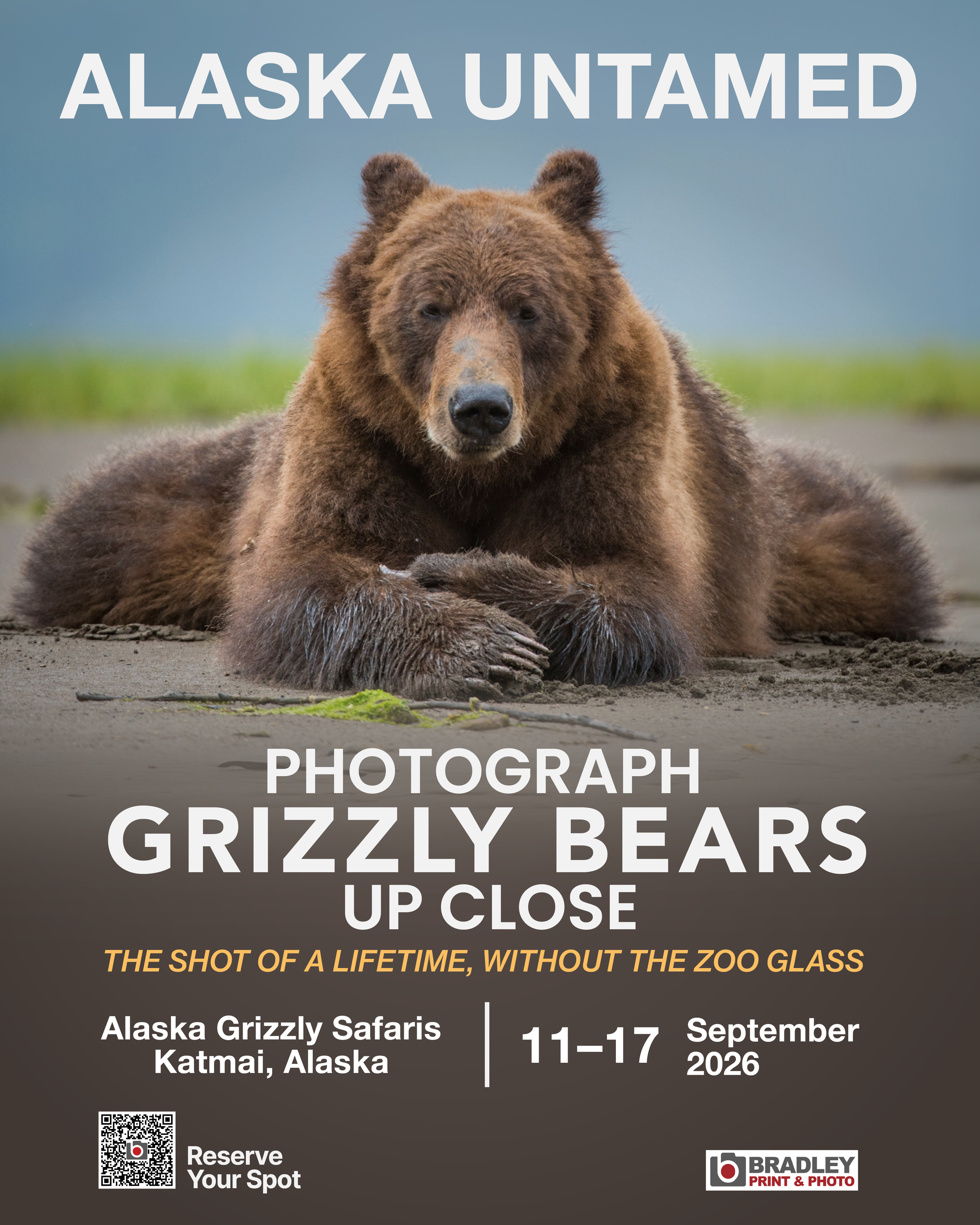 Grizzly Bears-02.png