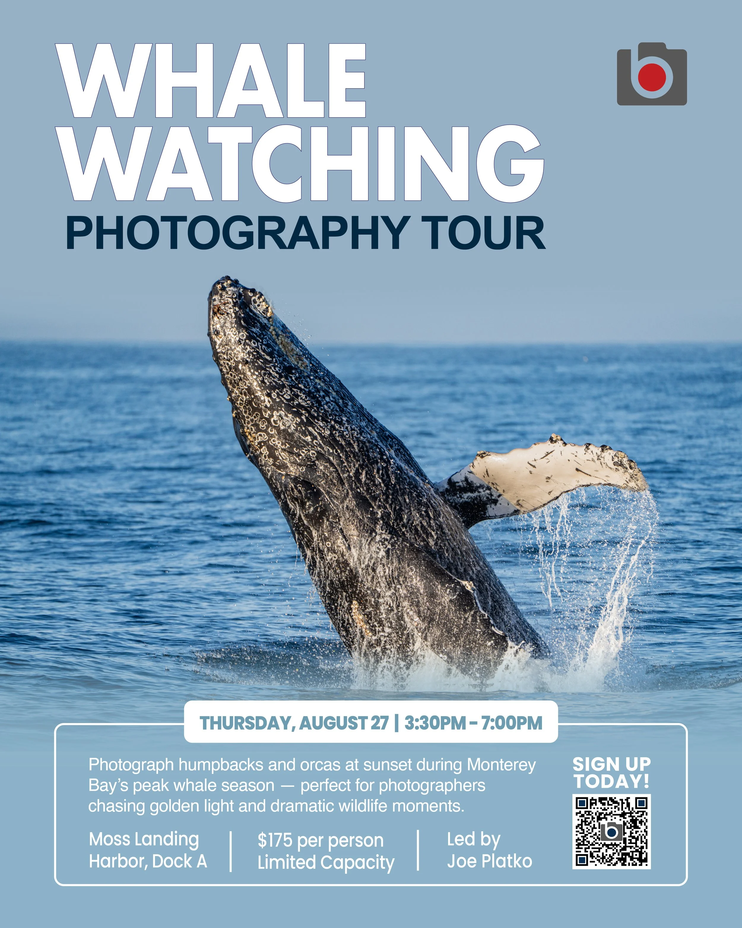 Whale Watching-01.jpg