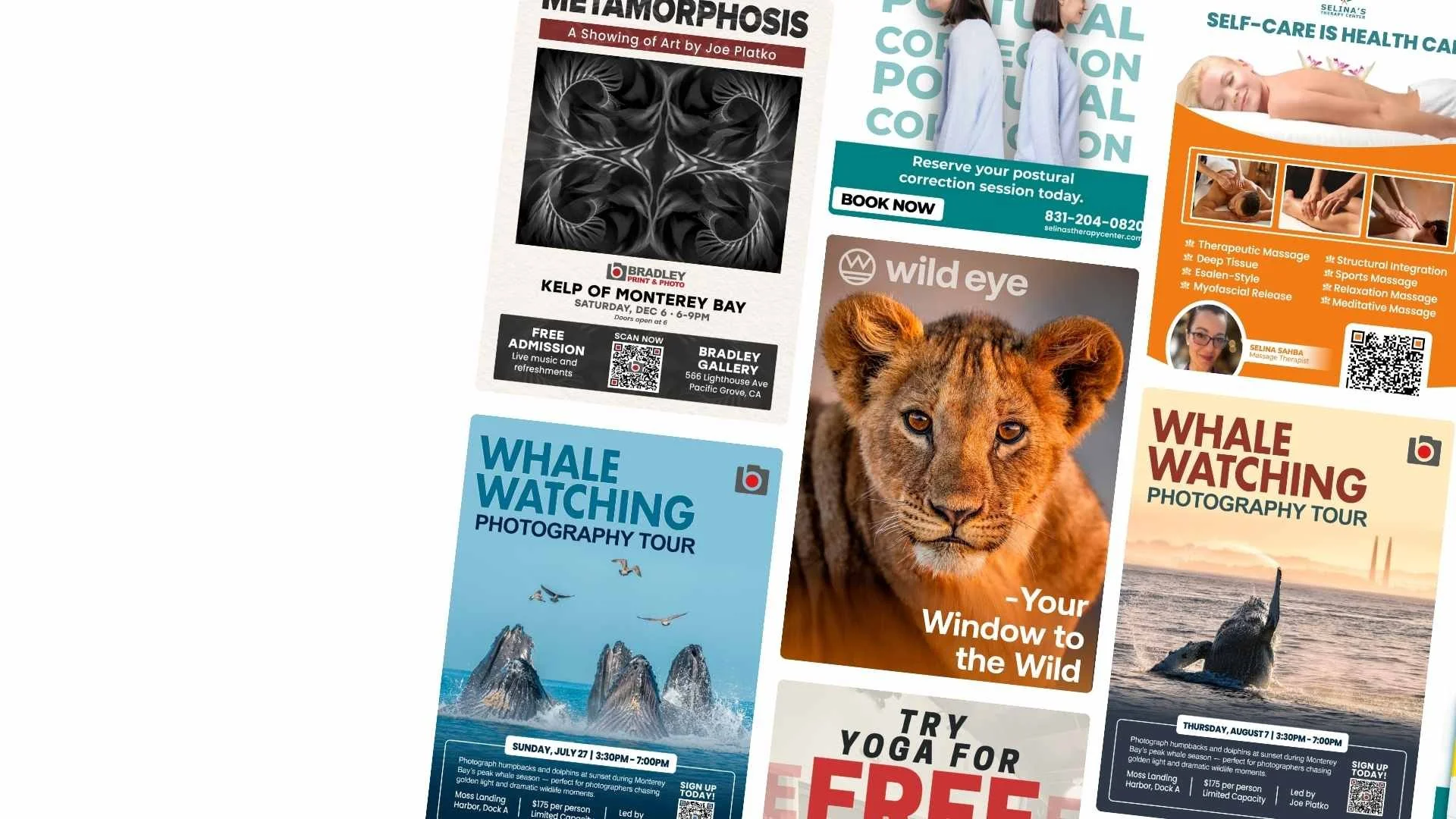 A collage of various advertisements and promotional flyers featuring events and services such as whale watching photography tours, massage therapy, art exhibit, yoga classes, and health-related services.