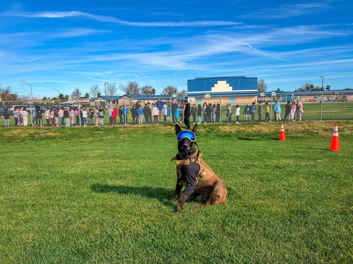 Runestone Ranch had the privilege of hosting a K9 demonstration for elementary students alongside retired K9 Kane #316 of Project K9 Hero.

The kids were engaged and laughing, but the heart of the message was bigger: first responders have a tough job