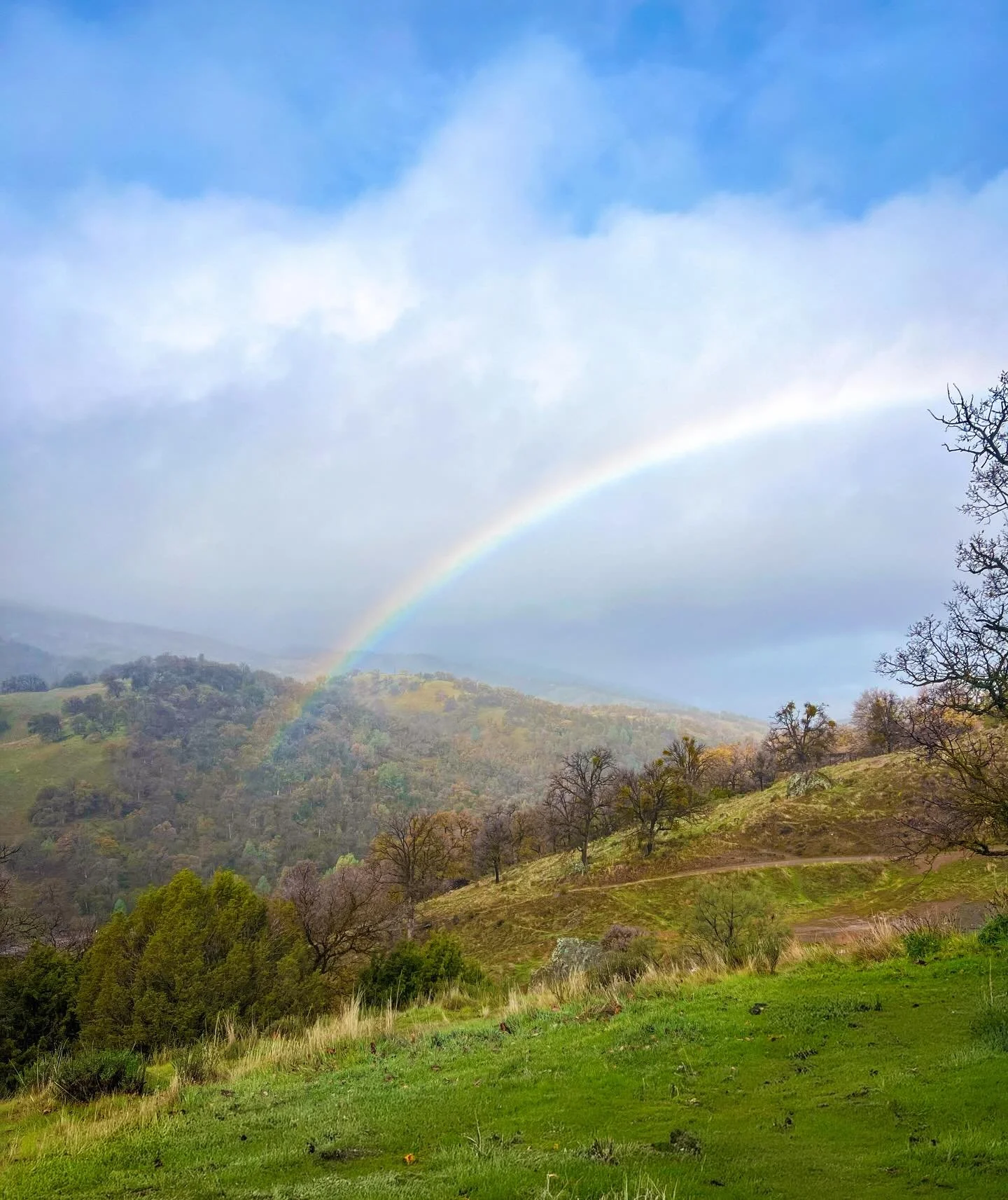 From our family at the ranch to yours, Happy Easter 🌷 To the first responders working today, stay safe out there.