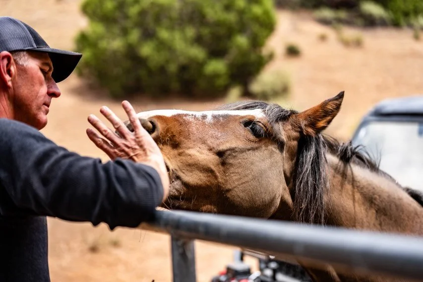 They&rsquo;ve carried us into battle, helped us explore the unknown, built communities, maintained order in growing cities, and stood alongside us through some of life&rsquo;s hardest moments.

From cavalry units to modern mounted patrols managing cr