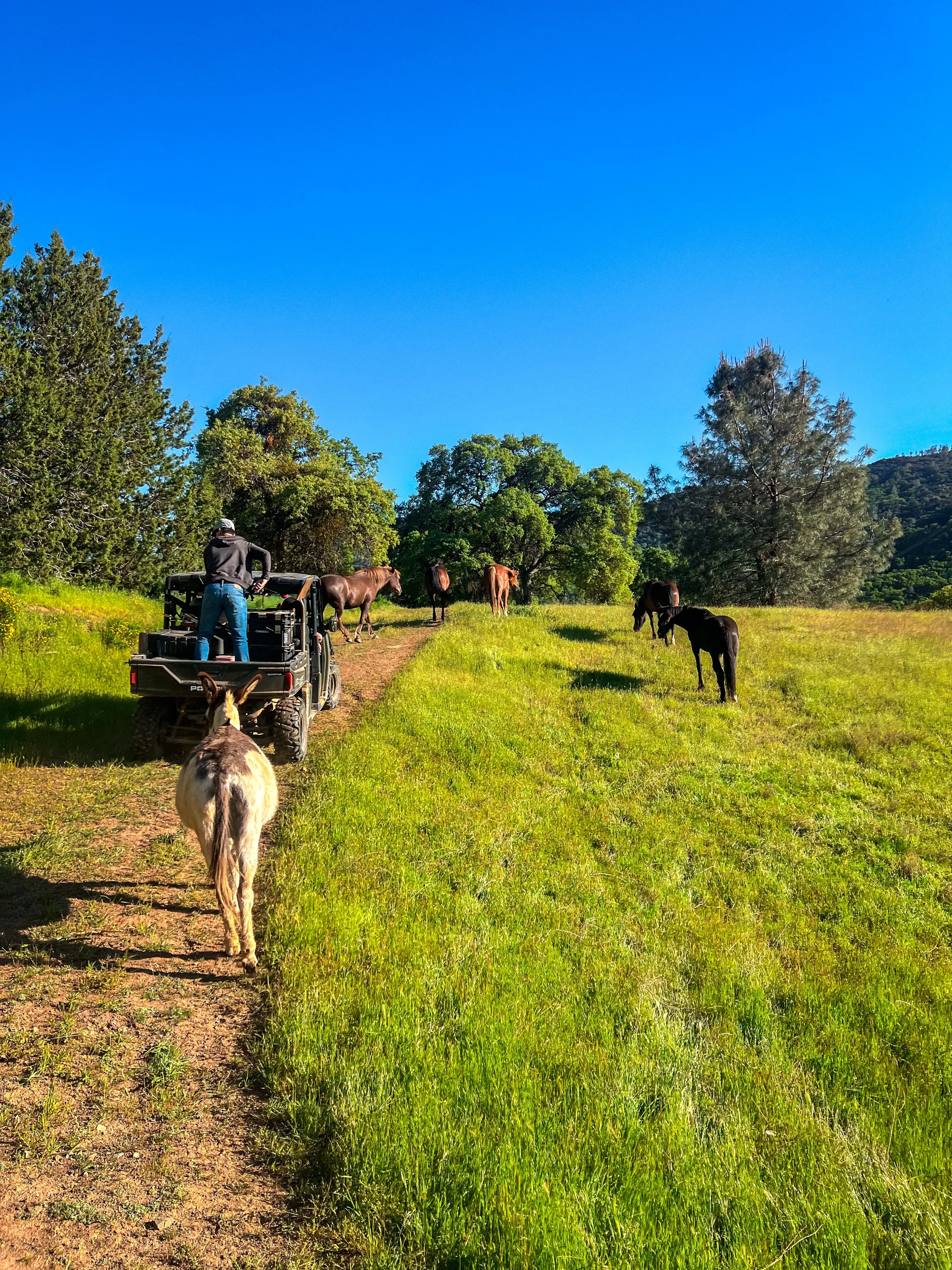 The Land | 102 Acres Built for Reset — Runestone Ranch
