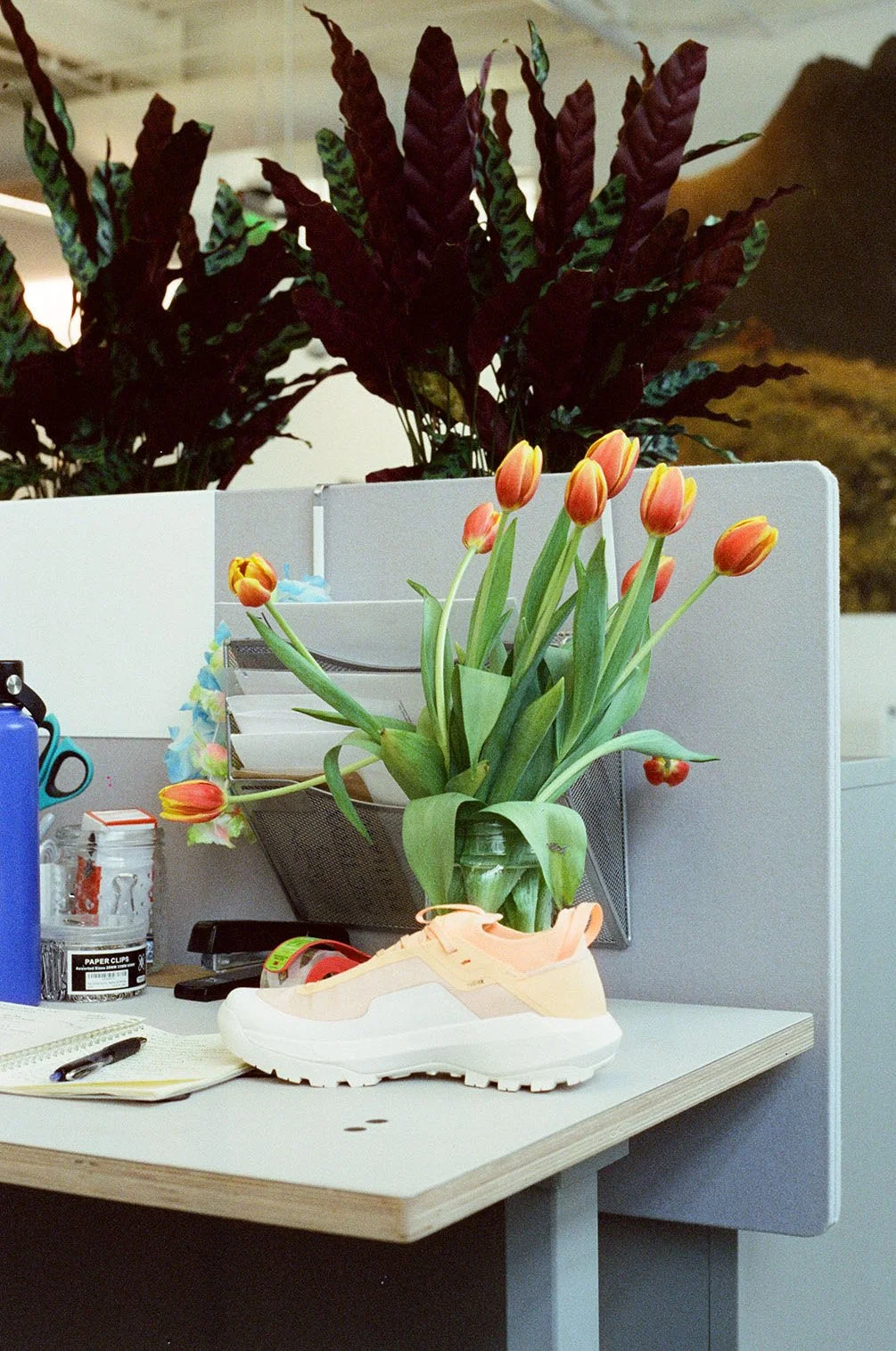 Editorial film photography for office featuring desk workspace shot on 35mm color film