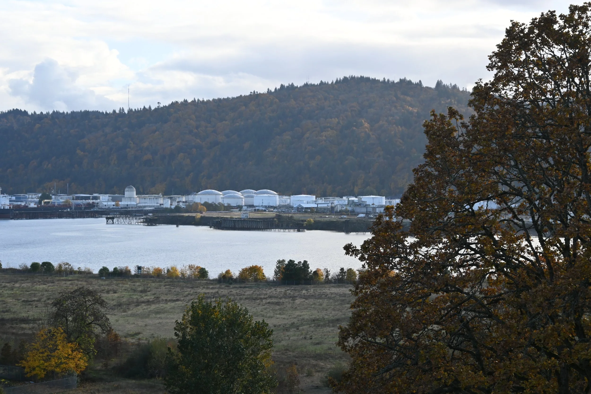 Science Communication