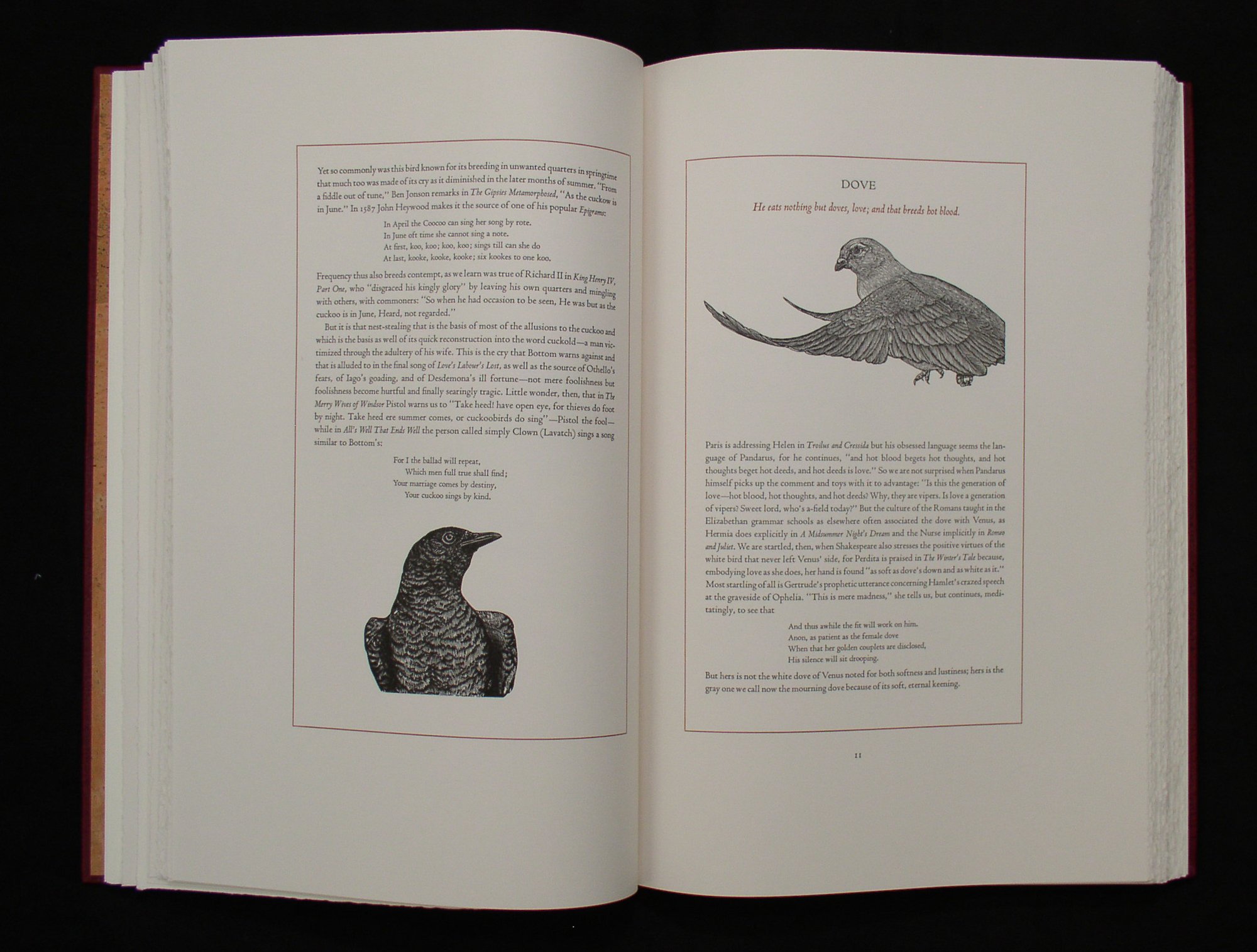 _DonGlaister_Birds and Beasts of ShakespeareP1010083.jpg