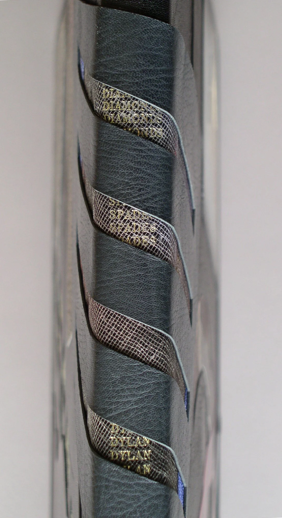 _DonGlaister_Dylan photosDylan Det3spine copy.jpg