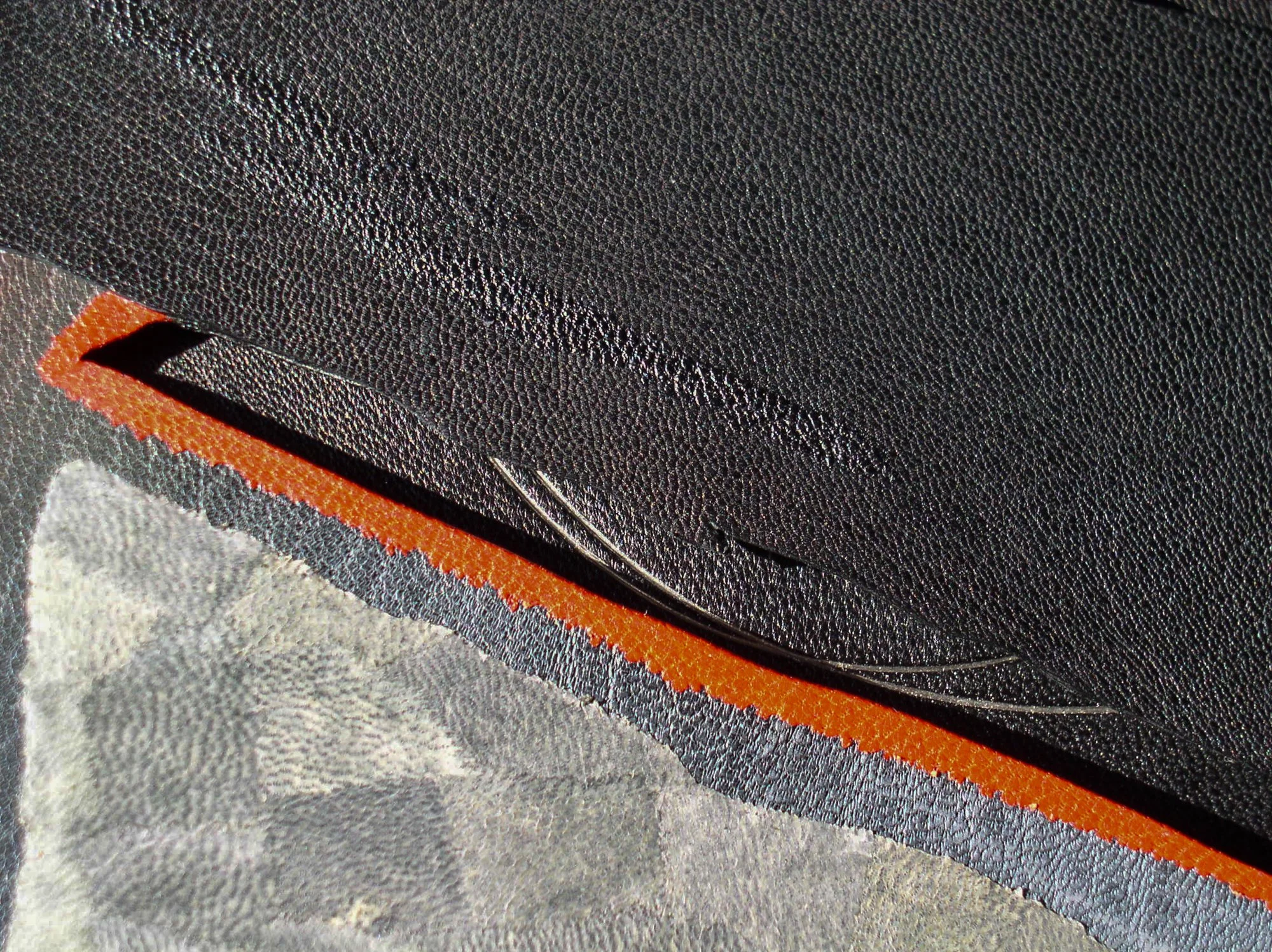 _DonGlaister_El NegroP1010004.jpg