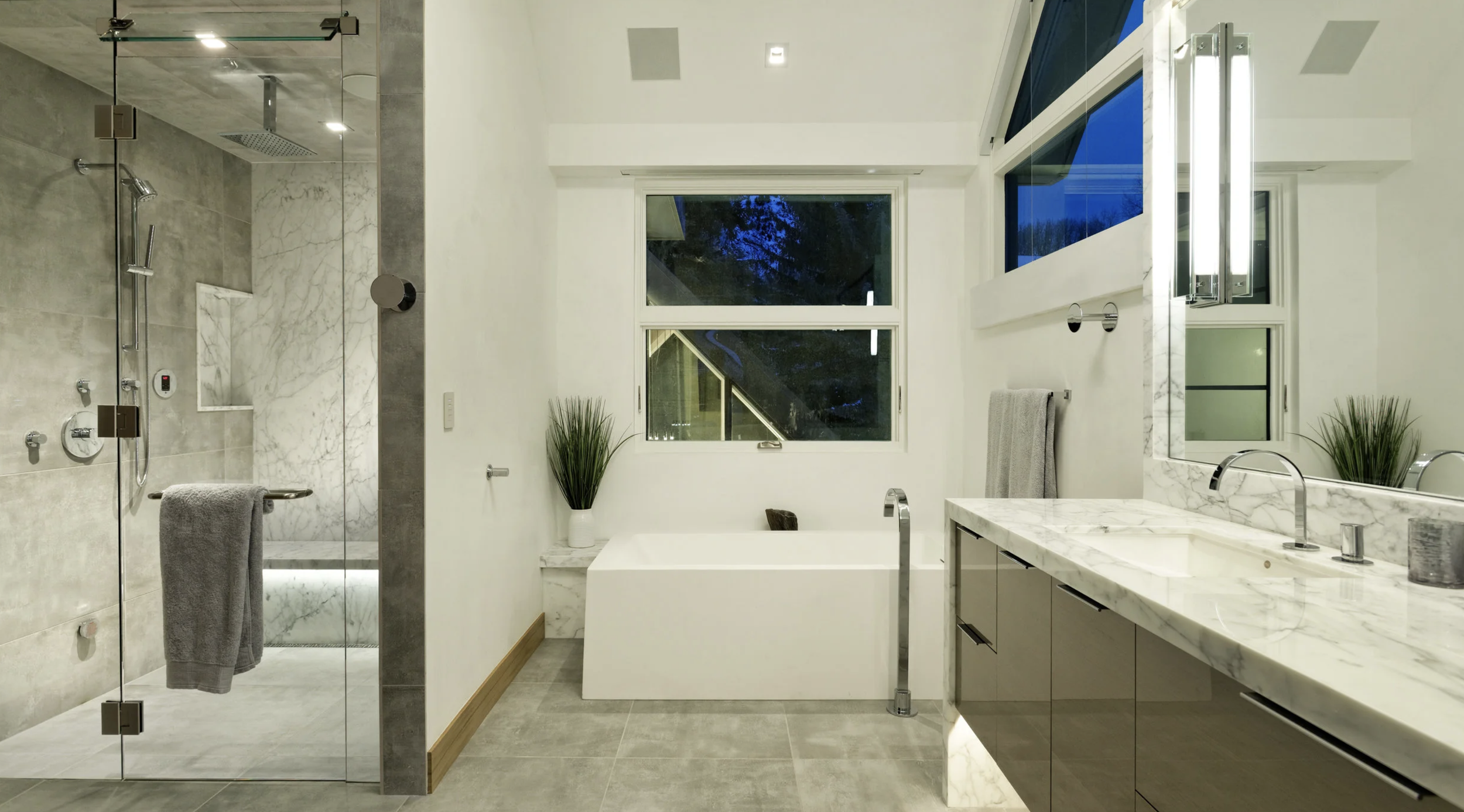 Modern Bath and Shower