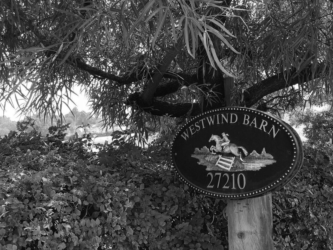 A black and white image of an oval sign attached to a wooden pole, reading 'Westwind Barn 27210' with a painted image of a person riding a horse over a jump, trees, and mountains in the background.