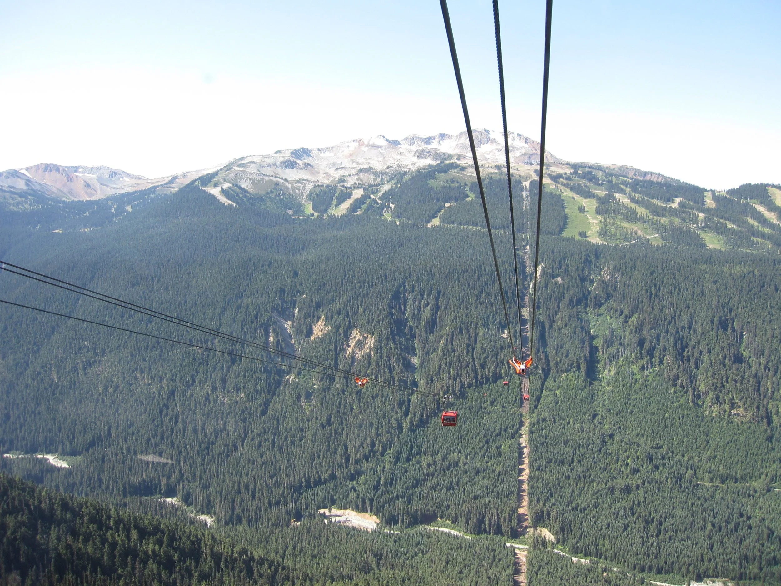 View of mountain landscape with a ski lift or gondola line running over a dense forest.