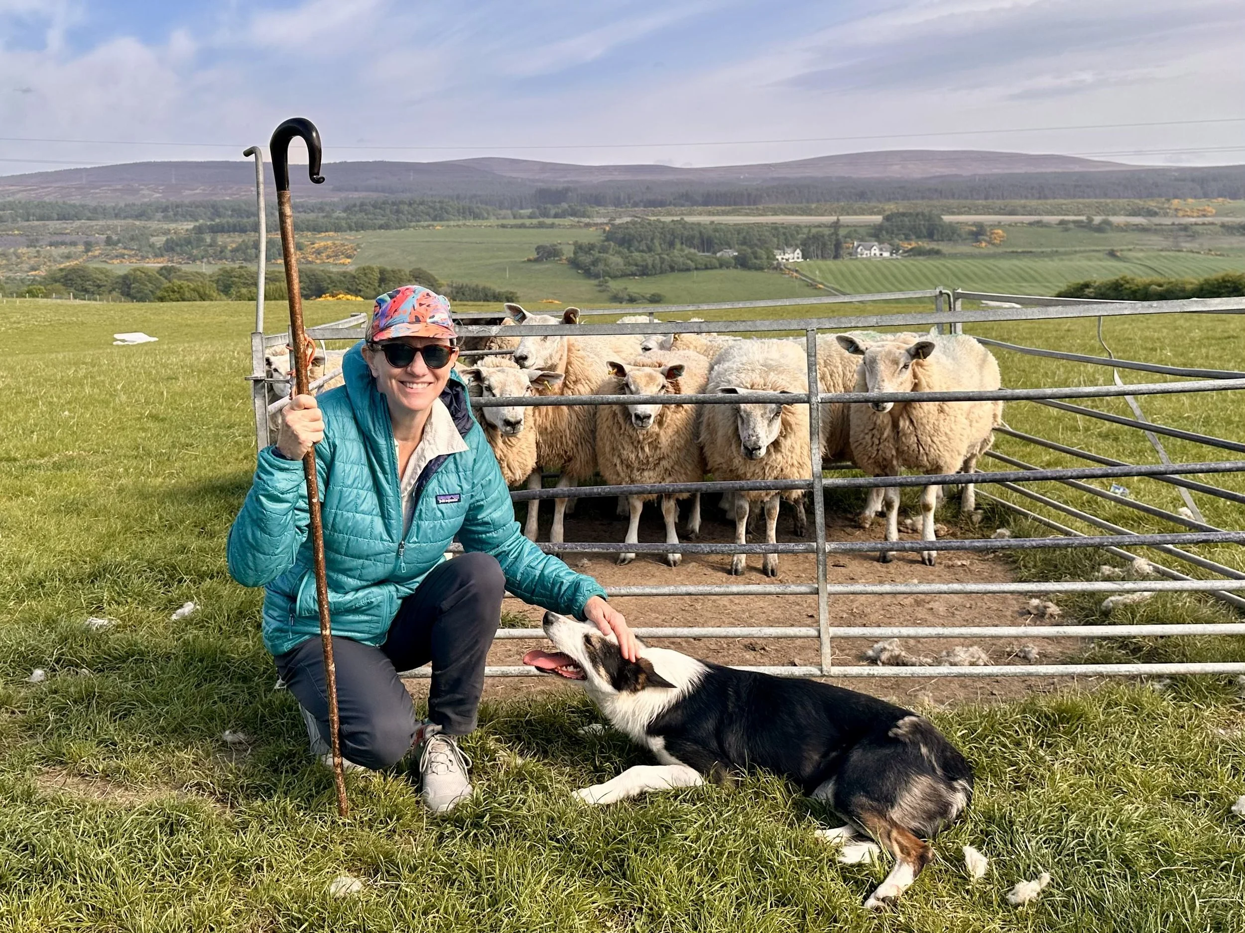 Experience, Integrity and Transparency - Stacey Holeman