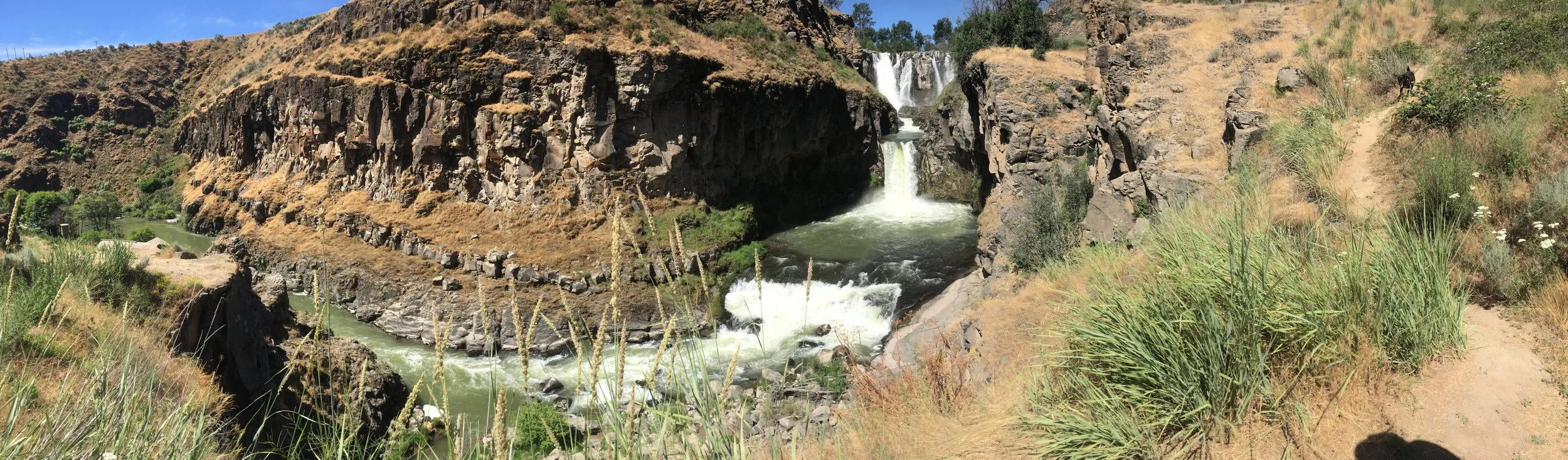 A landscape with a river flowing through a canyon, a small waterfall, and a dirt trail on the right side with greenery and dry grass. Wasco County Oregon White River Falls Water Issues in Wasco
