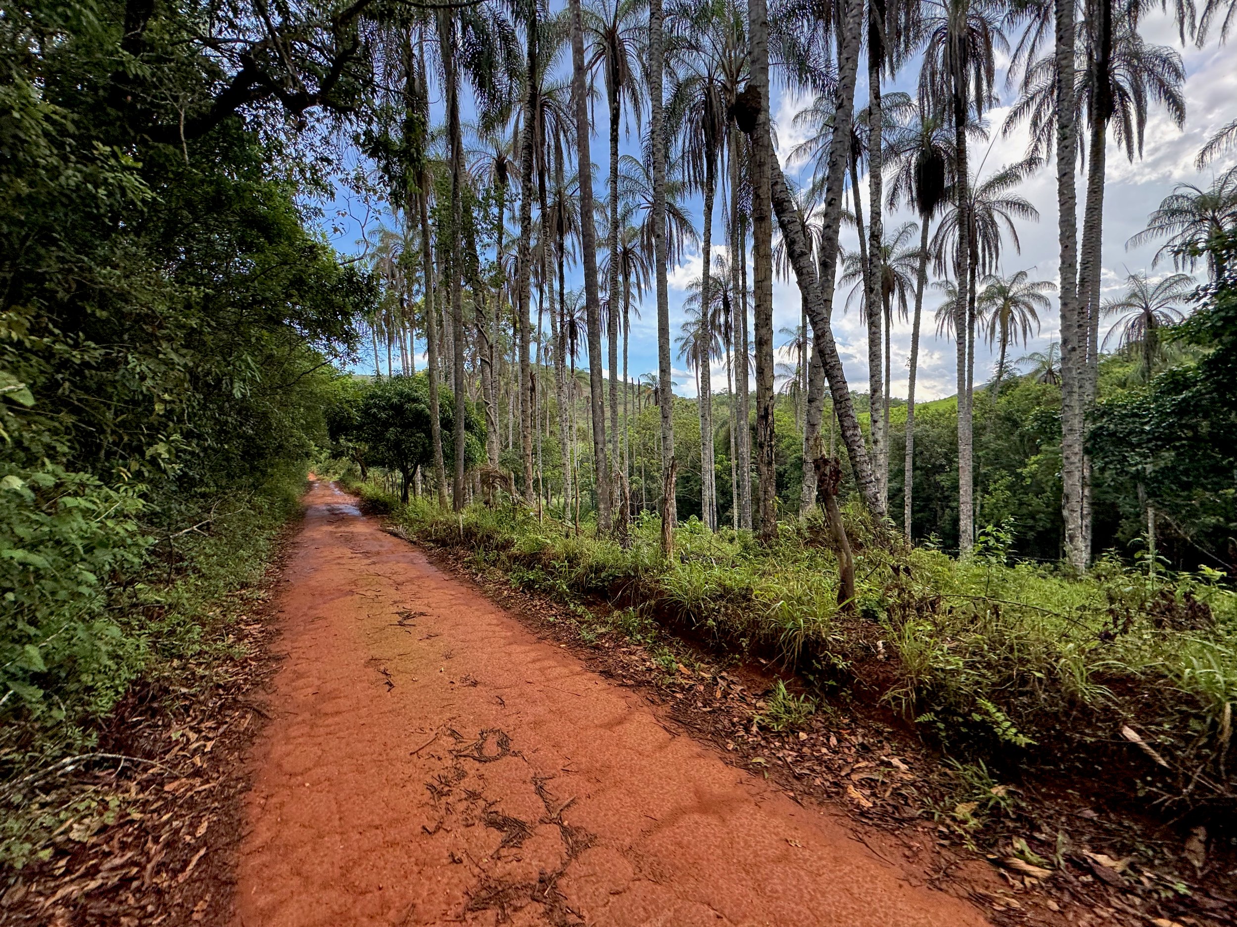 Blue skies after the rain on the red road near Morro do Pilar.