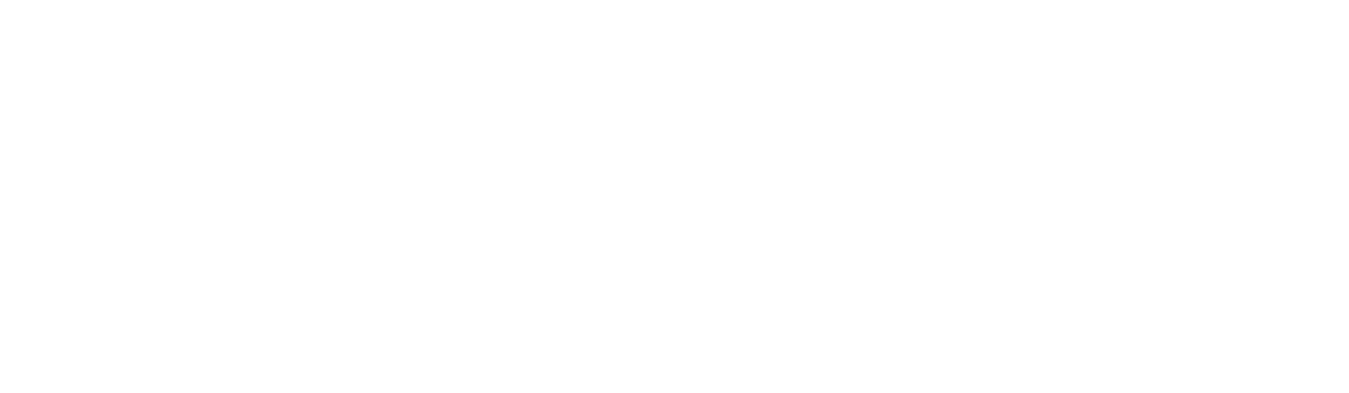 Modest Film Society