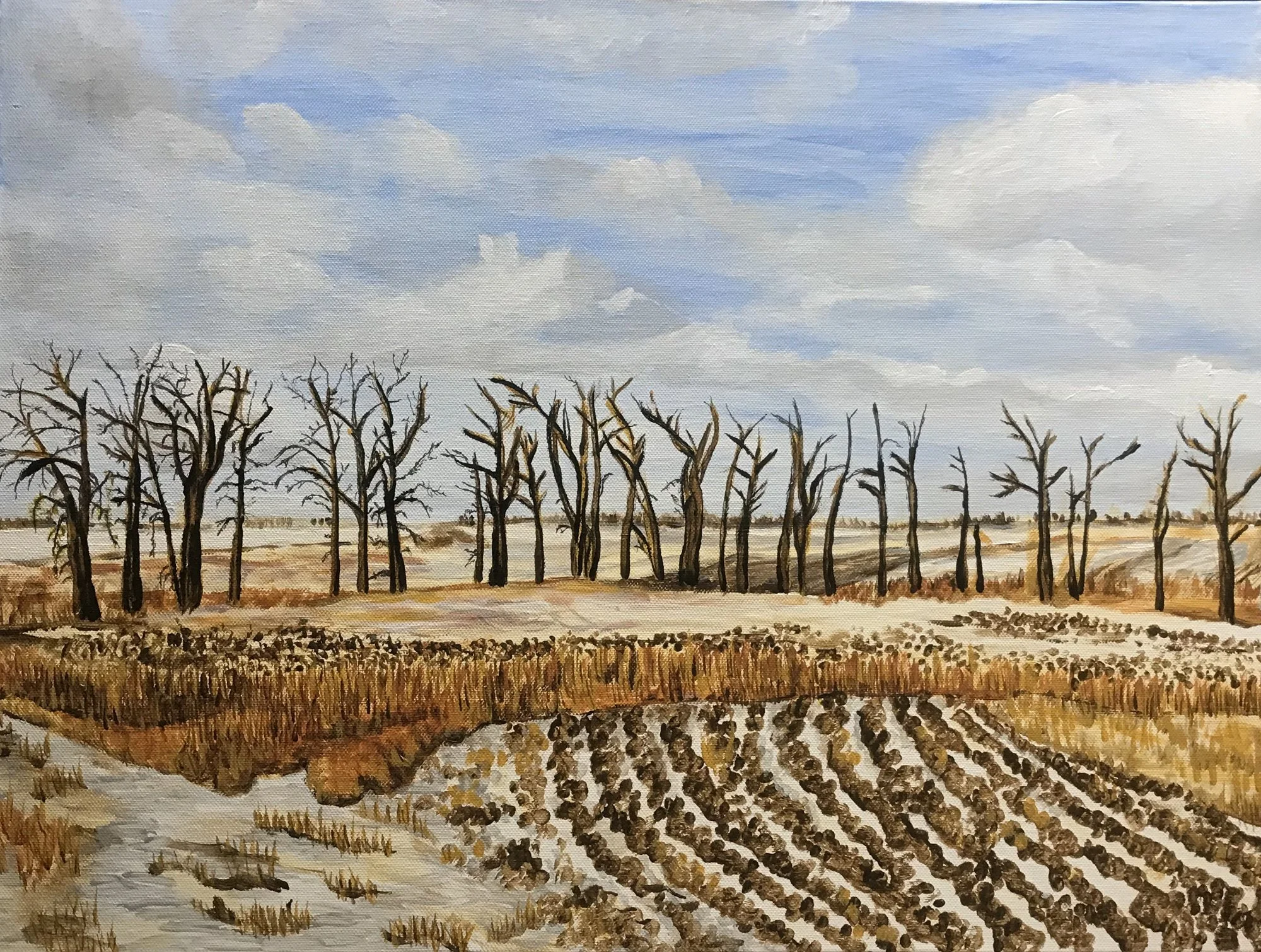 North Dakota Prairie