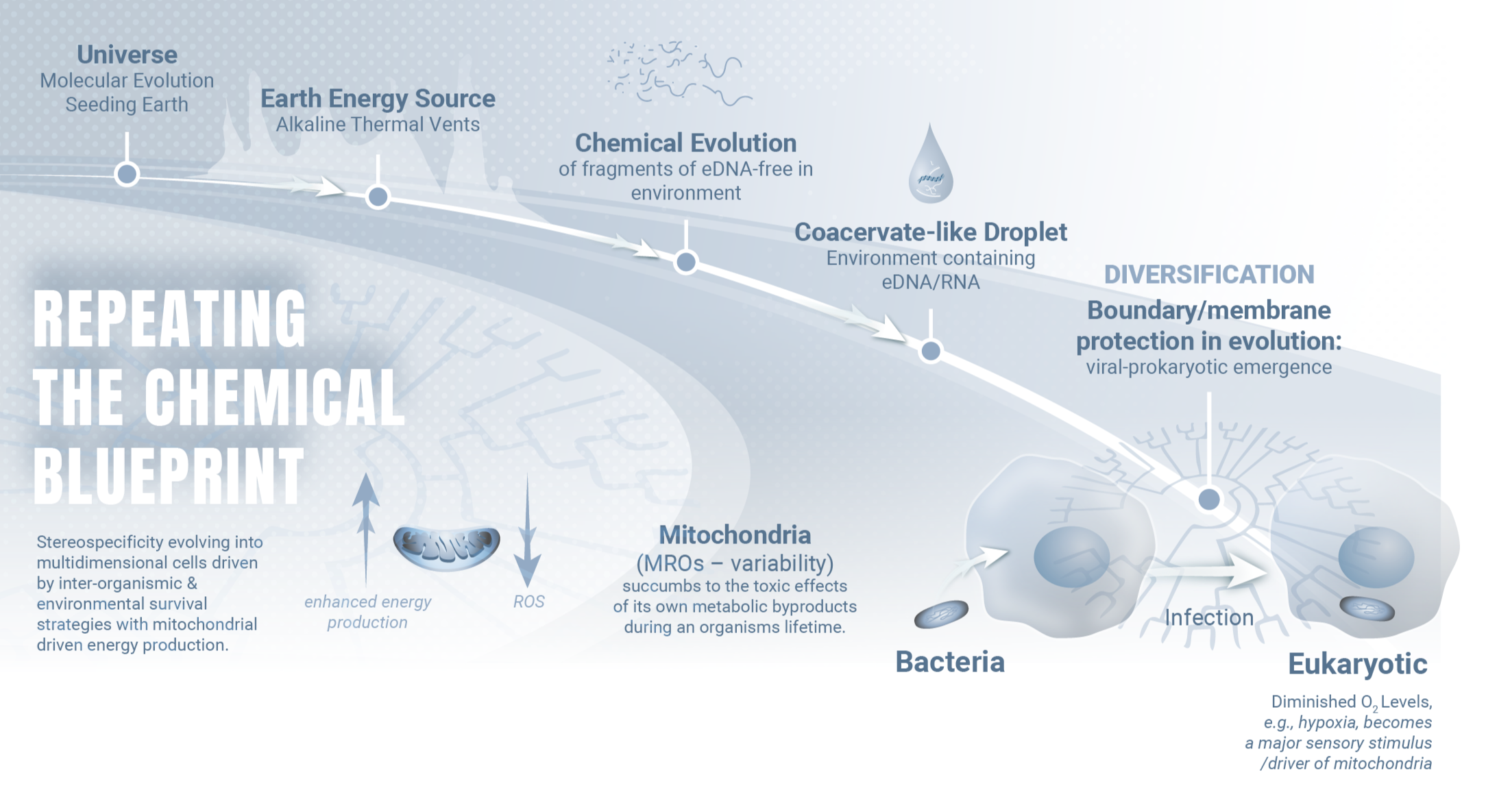 Flowchart illustrating the process of chemical evolution and diversification of eDNA, RNA, bacteria, and eukaryotic cells, with related concepts like universe, earth energy sources, mitochondria, and viral emergence.