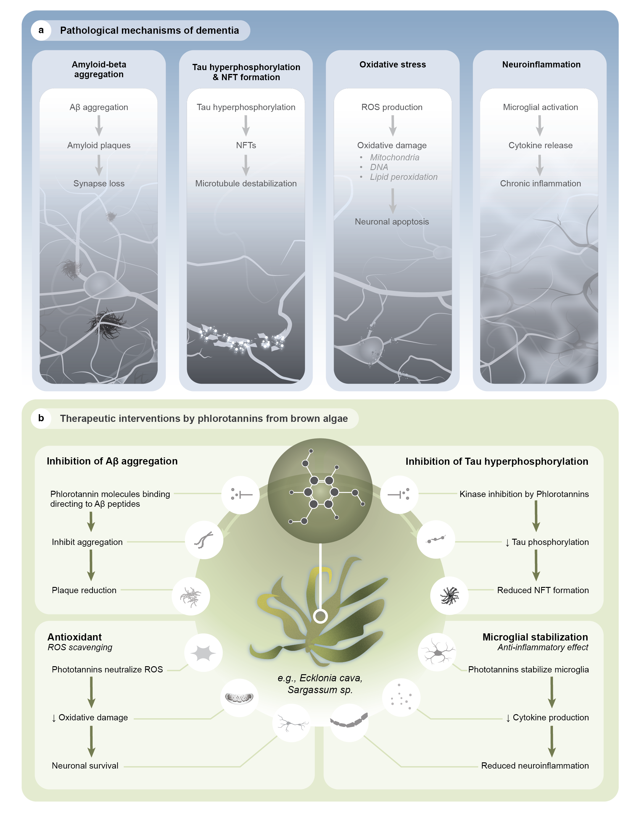 Lee_NatureReviewGraphics_2025-03-03-10.png