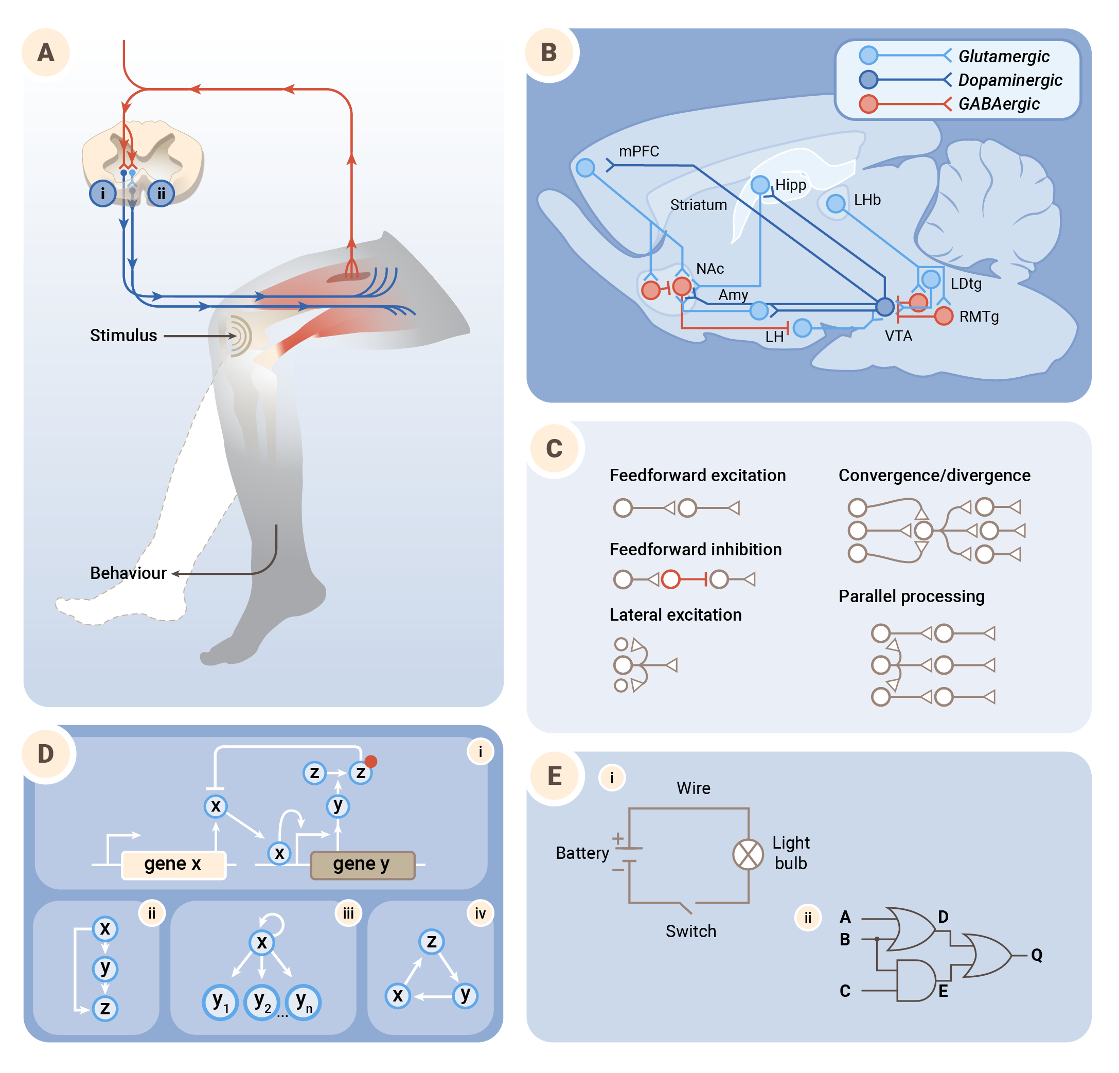 A comprehensive diagram illustrating brain circuitry and neural pathways involved in behavior, gene expression, and electrical circuits, including schematic flowcharts and technical symbols.