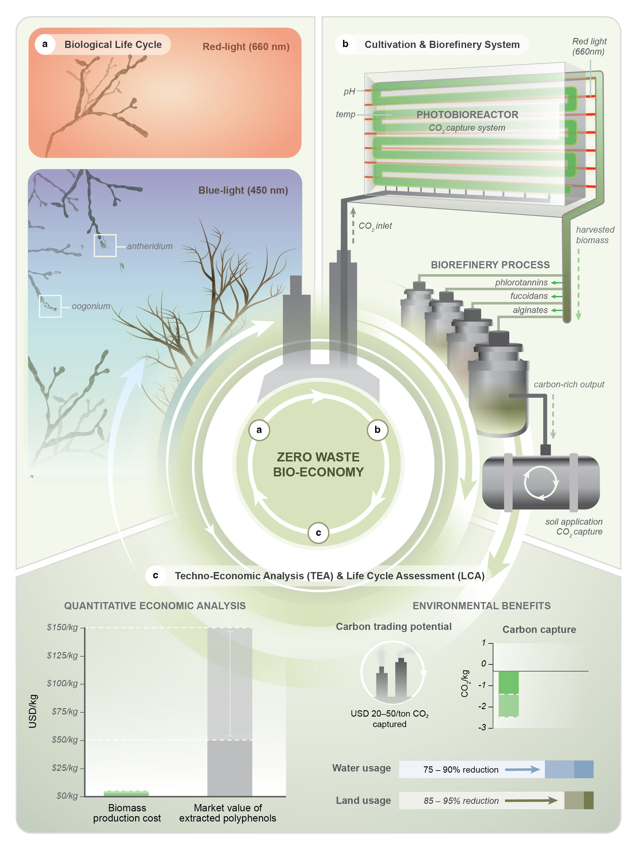 Diagram illustrating sustainable bio-economy concepts with sections on biological life cycle, cultivation system, tech-economic analysis, and environmental benefits. Includes details on light wavelengths, biorefinery processes, carbon capture, water 