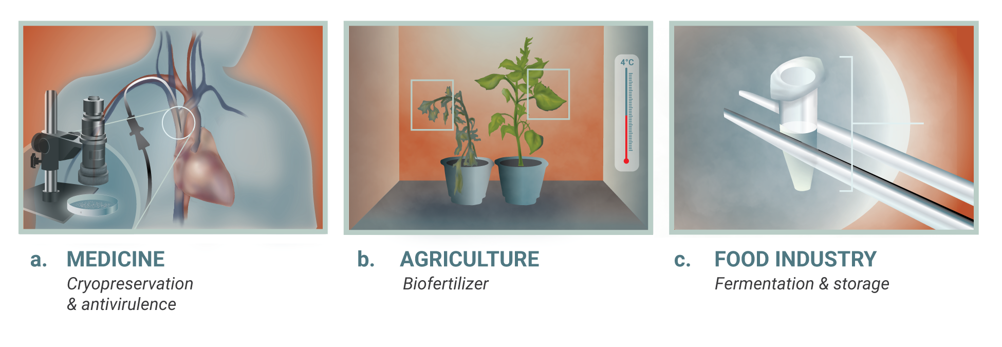 Infographic showing three uses of science: medicine with cryopreservation and antiviral research, agriculture with two plants in pots and a temperature gauge, and food industry with a fermentation vessel and pipes.
