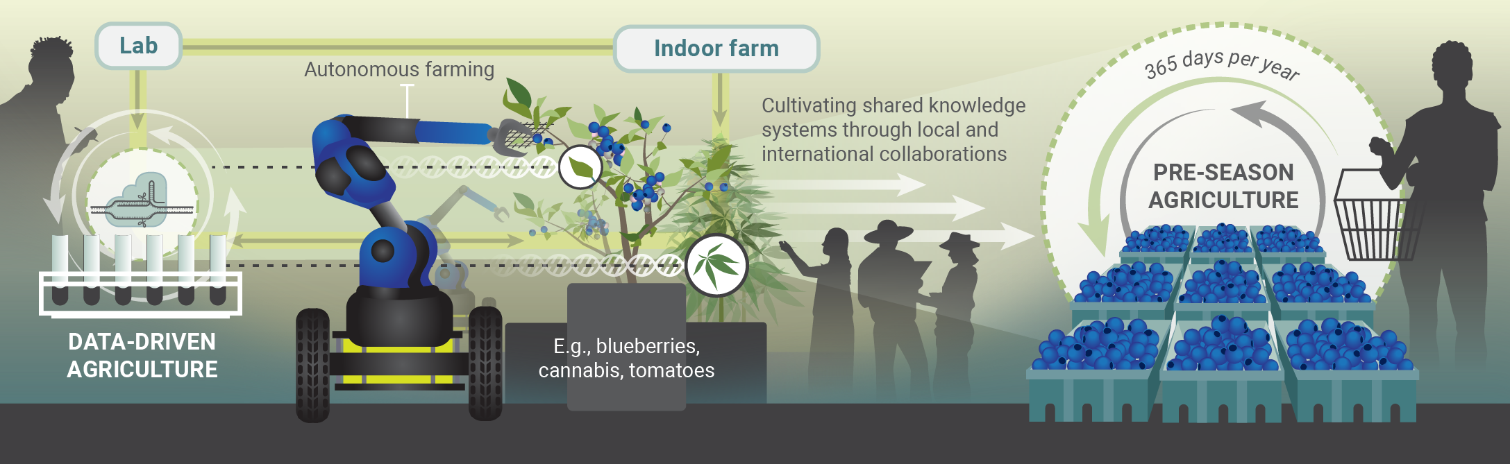 Diagram illustrating data-driven, autonomous indoor farming of blueberries, cannabis, and tomatoes with AI, robotics, and shared knowledge systems for pre-season agriculture year-round.