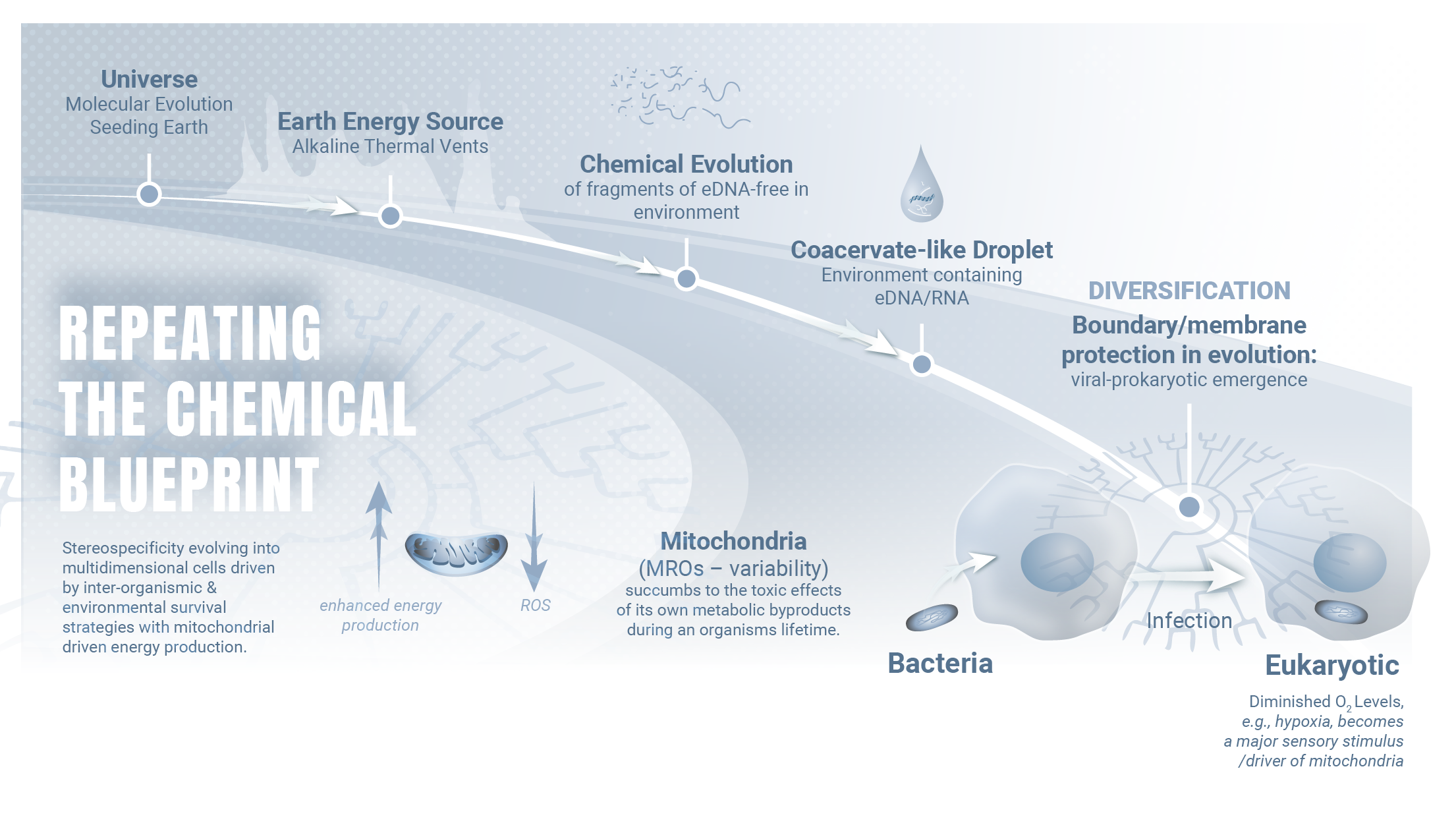 Diagram of the chemical evolution of life and mitochondria with related labels and descriptive text.