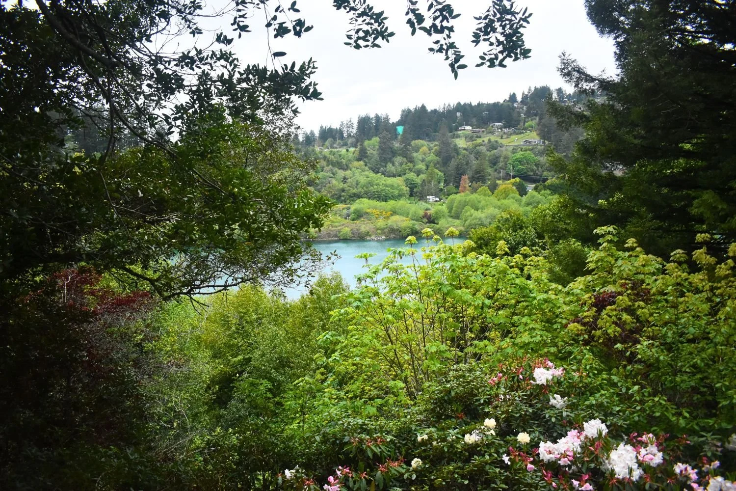 18-oregon-brookings-chetco-retreat-back-deck-view.jpg