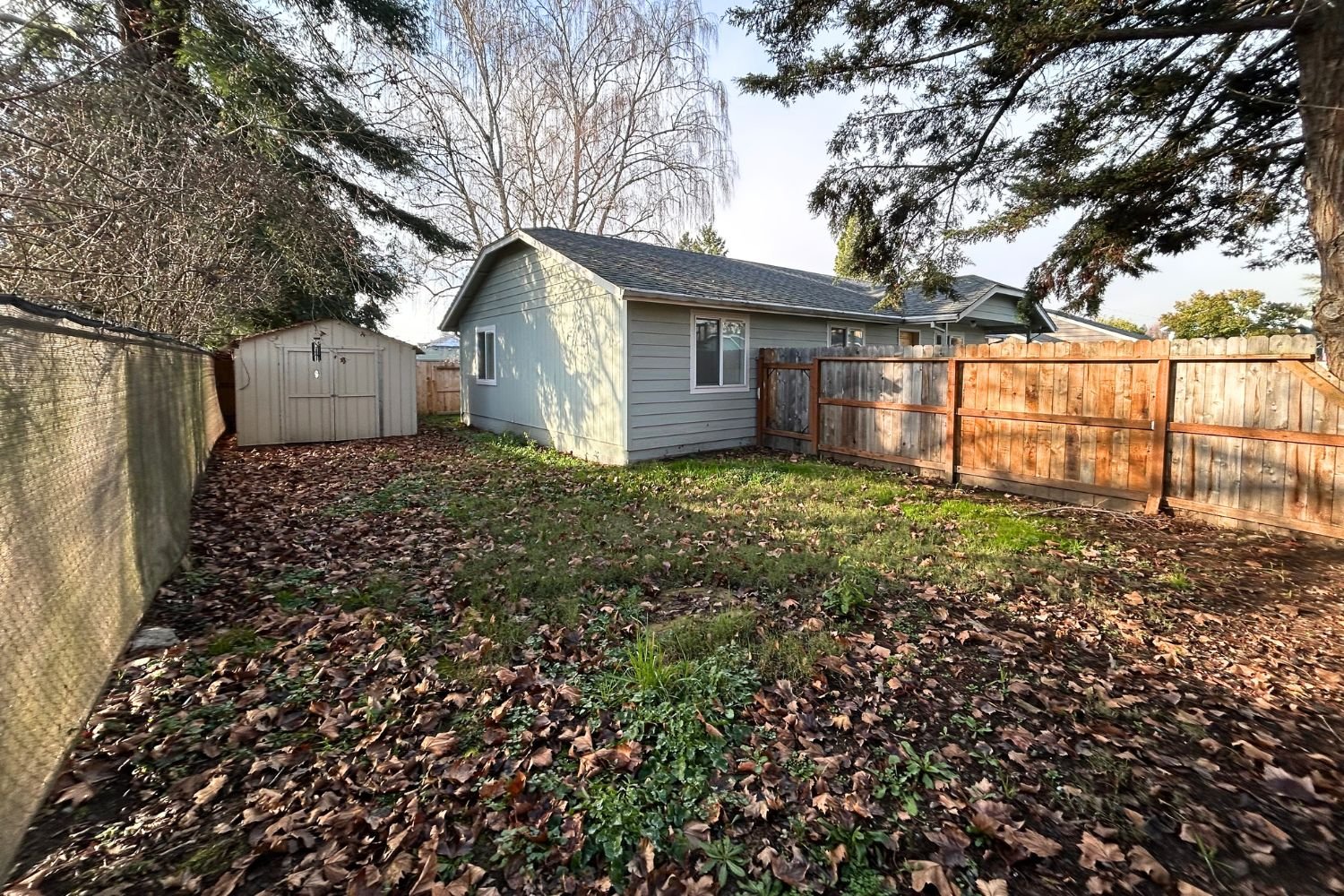 Backyard with a green house, wooden fence, and fallen leaves on the ground, with trees in the background.