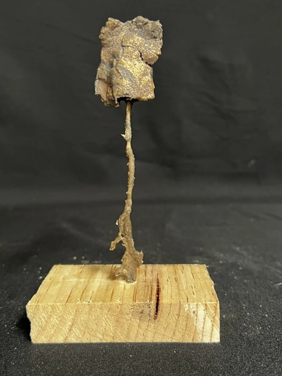 Jewel Series: Torso I    6"x4"x2" Bonze, Epoxy Putty, Wood    $500.00