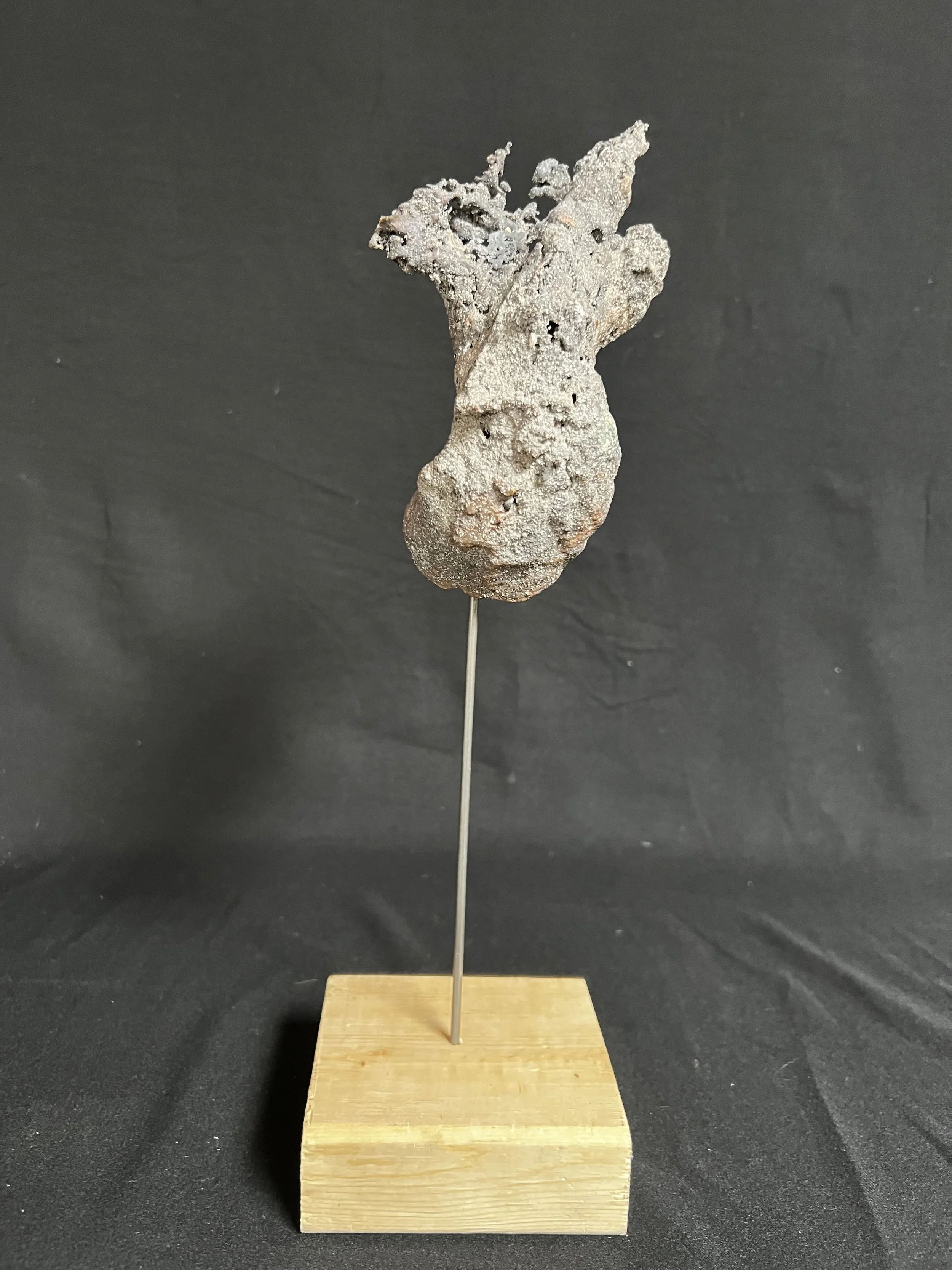Torso III    13"x4"x4"    Bronze, Wood    $1800.00