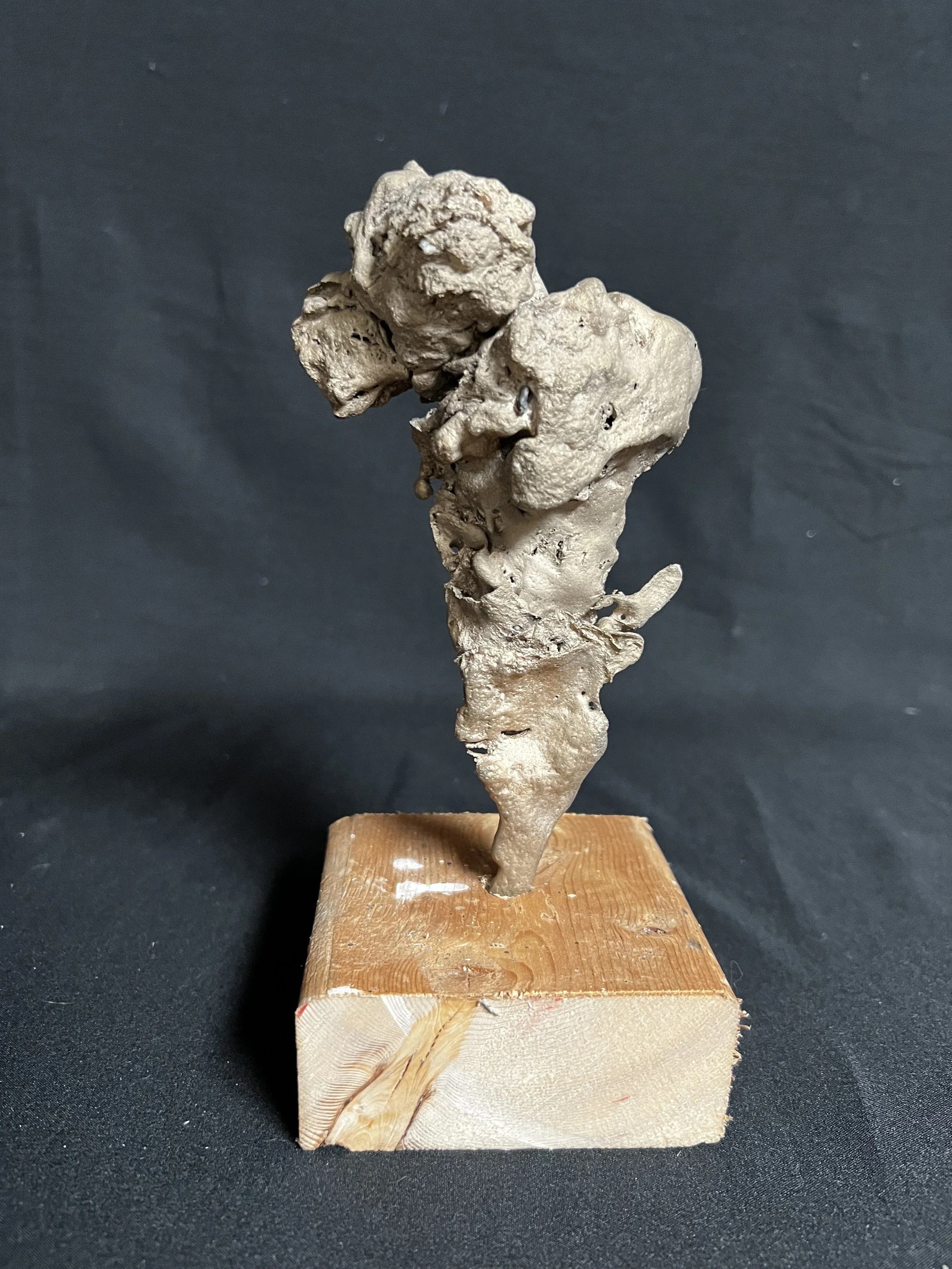 Winged Torso VII    8"x4"x3"    Bronze, Wood    $800.00