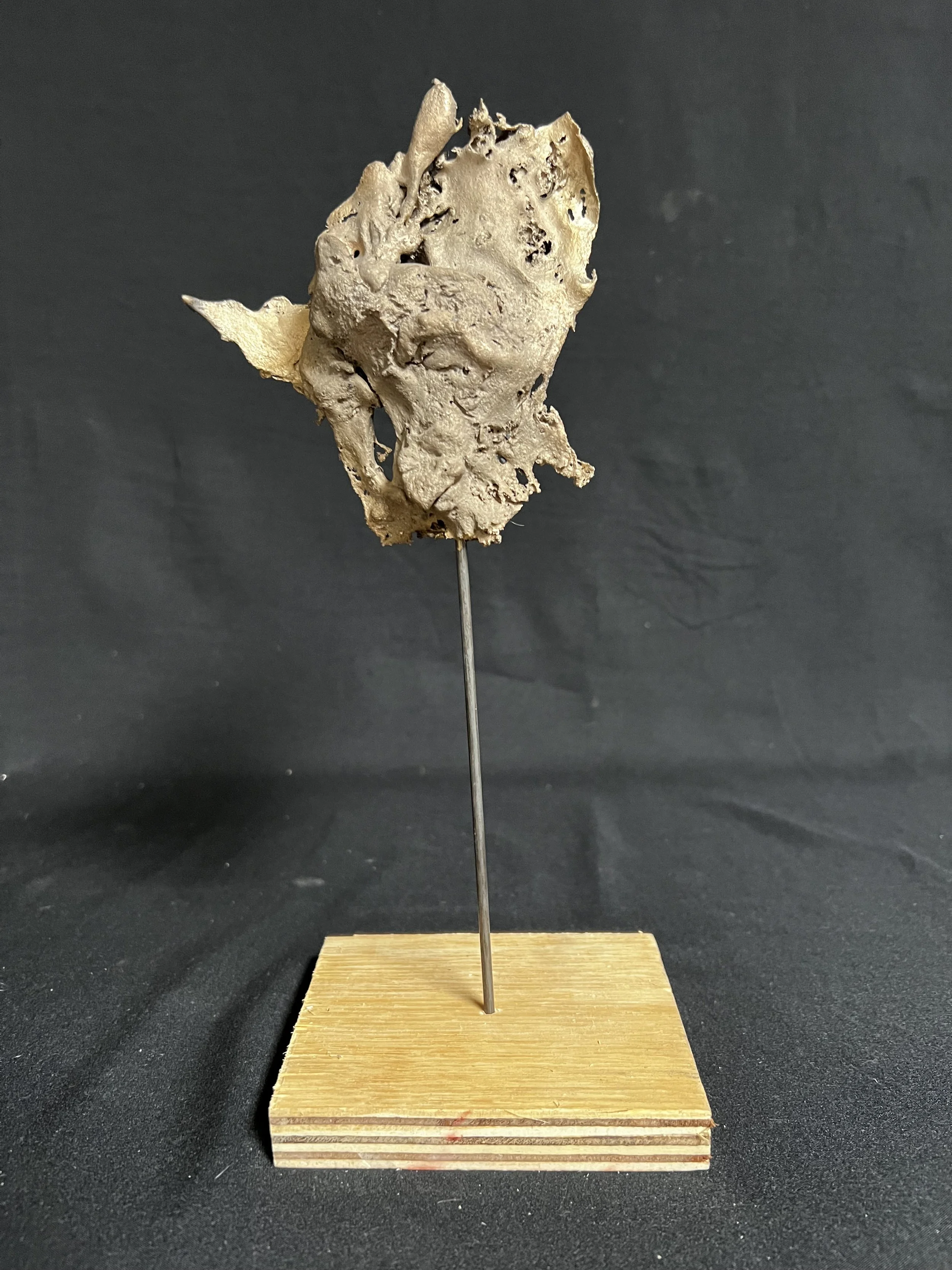 Aurora I    10"x4"x4"     Bronze, Wood    $1500.00