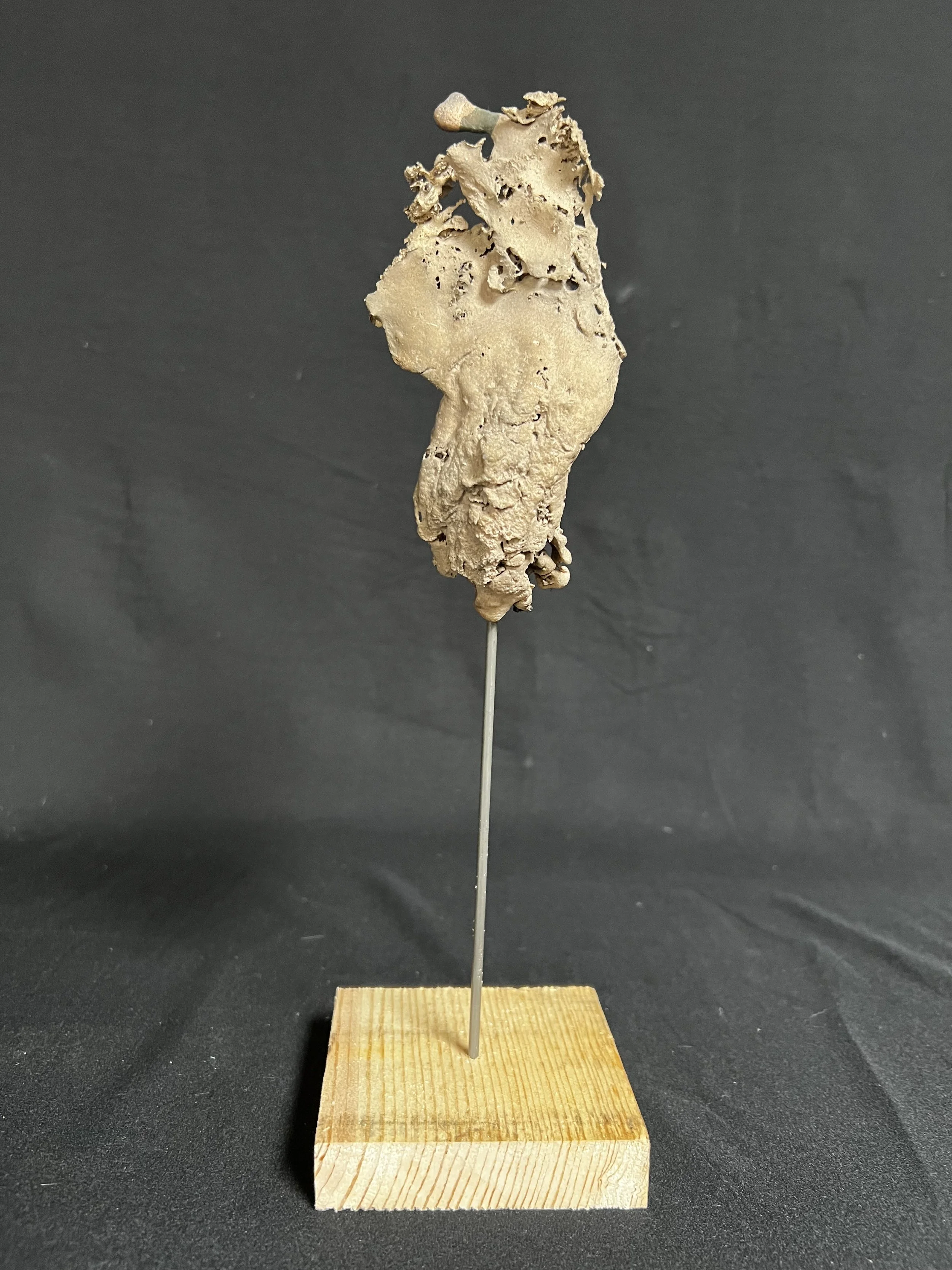 Torso IV    12"x3"x3"    Bronze, Epoxy Putty, Paint, Wood    $1500.00