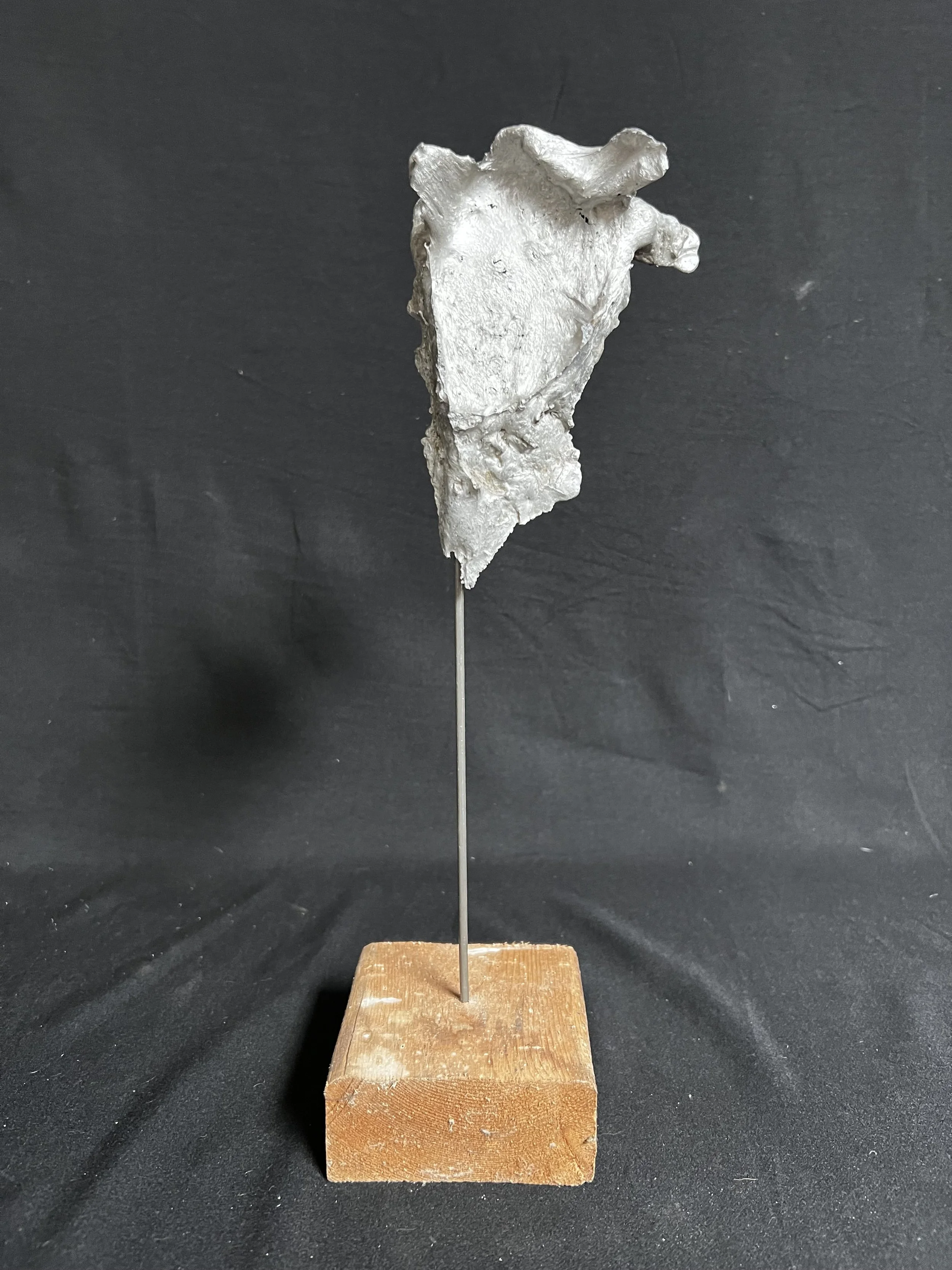 Winged Torso XI    13"x4"x4"    Aluminum, Wood    $1200.00