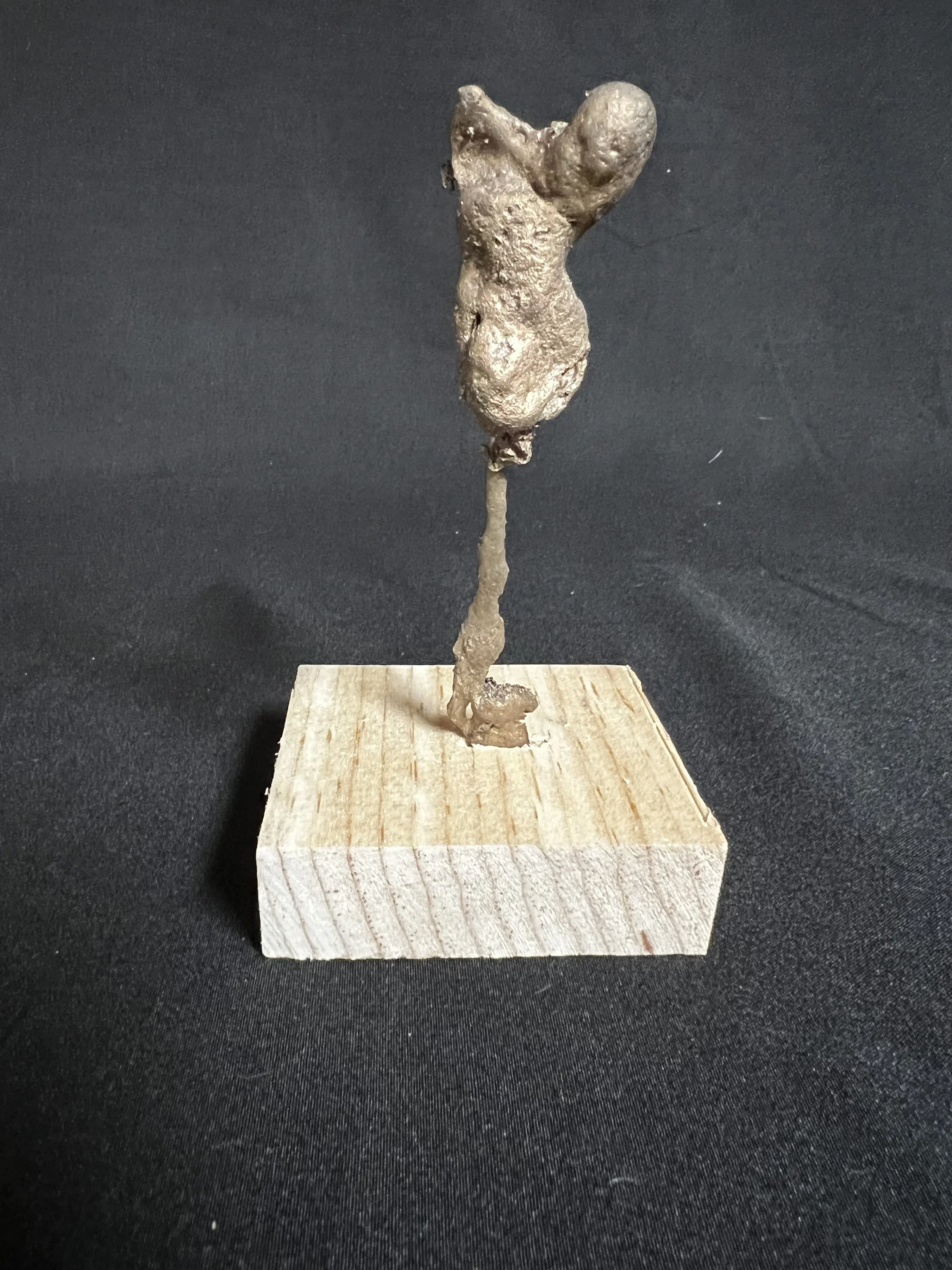 Jewel Series: Female Torso II    4"x3"x3" Bronze, Epoxy Putty, Wood    $500.00