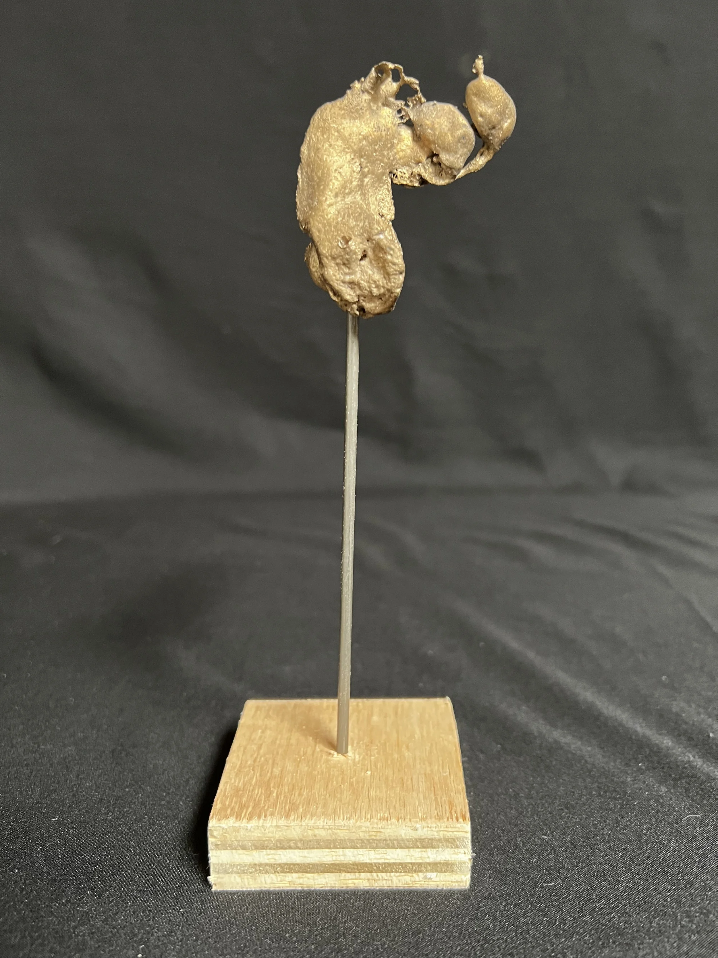 Bent Torso I     8"x3"x3"    Bronze, Wood    $600.00